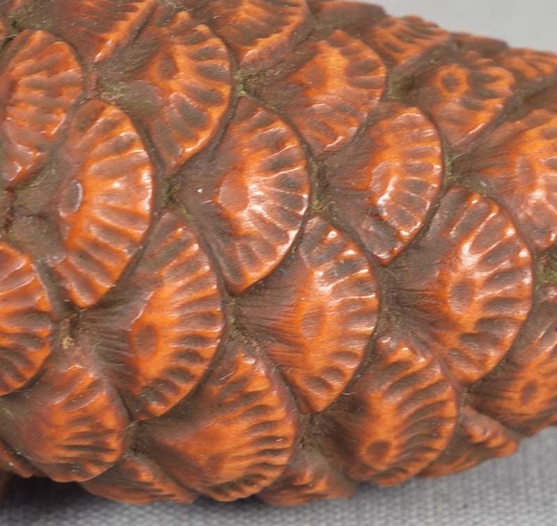 Netsuke PINE CONE by KAZUO - 6