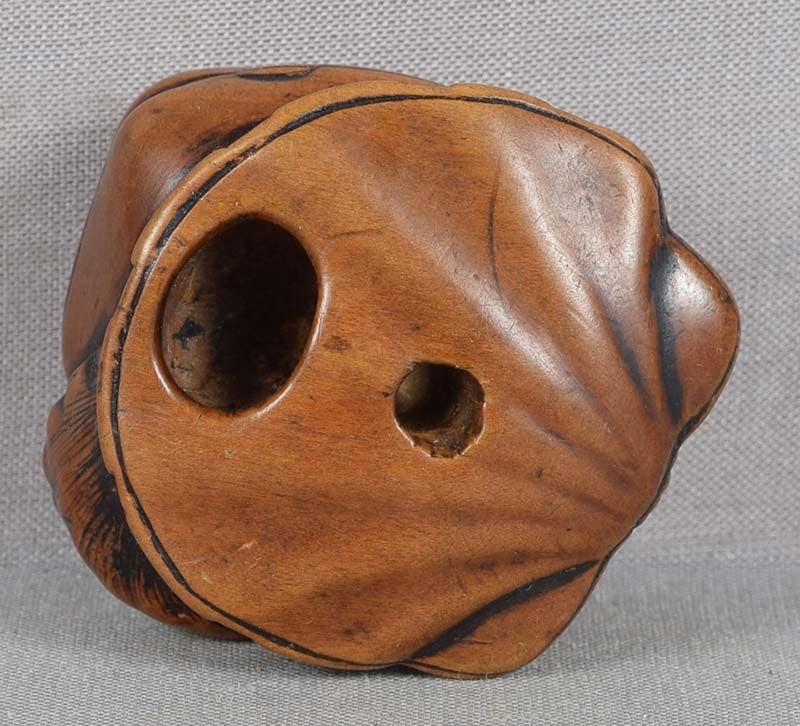 18c netsuke CRAB & different SEASHELLS - 4
