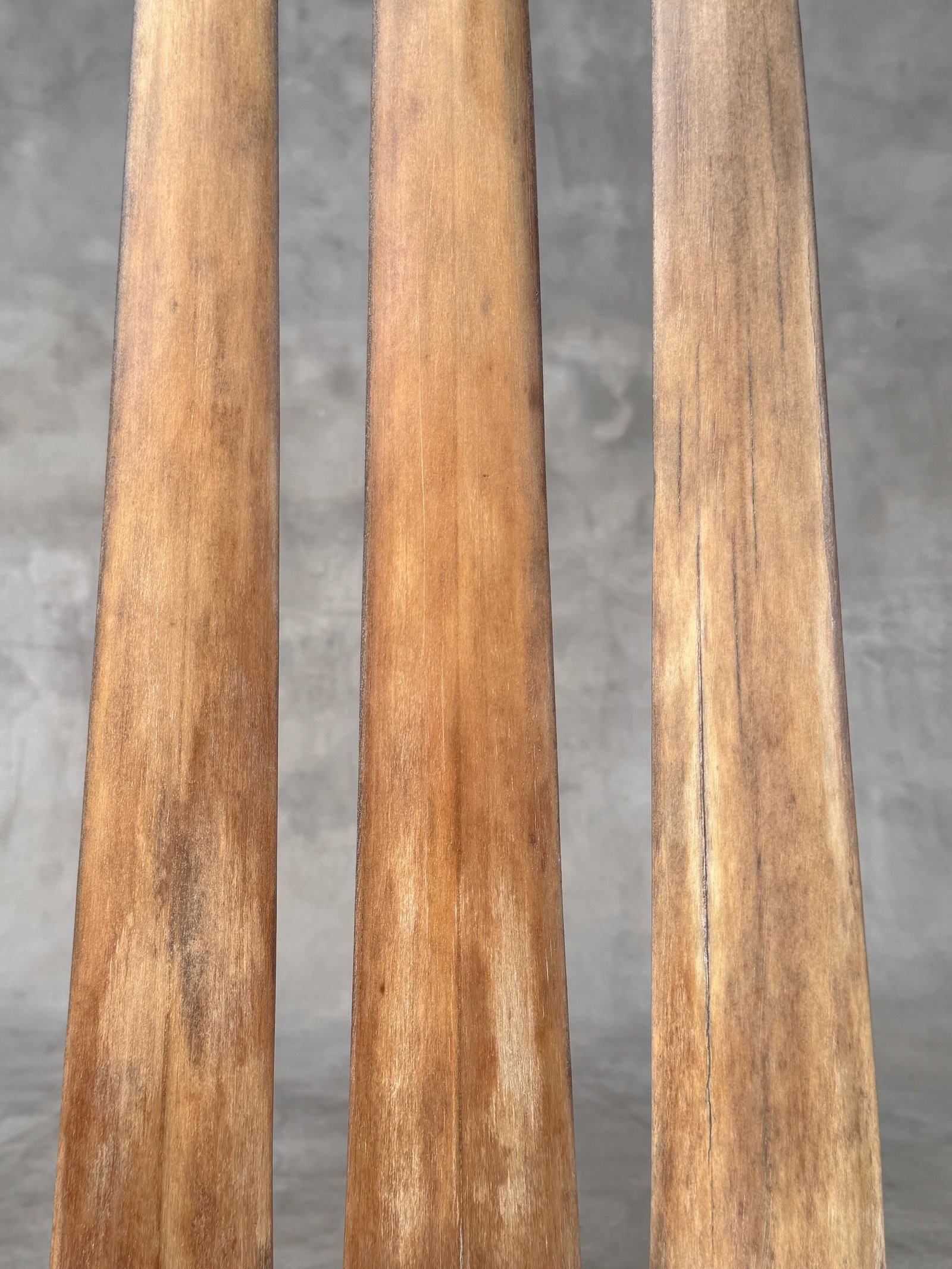 Swordfish tusk trio with custom stands - 5