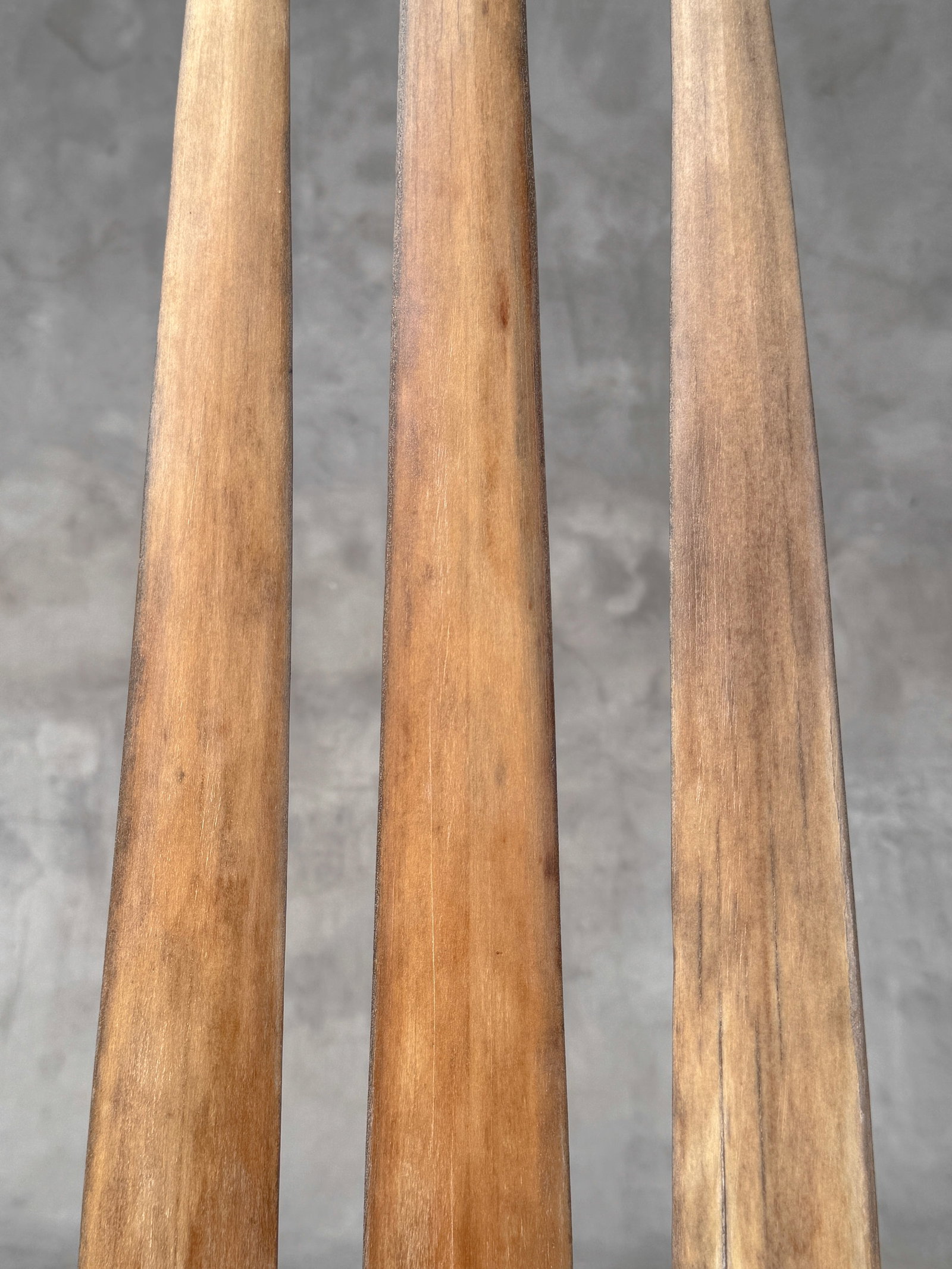 Swordfish tusk trio with custom stands - 6