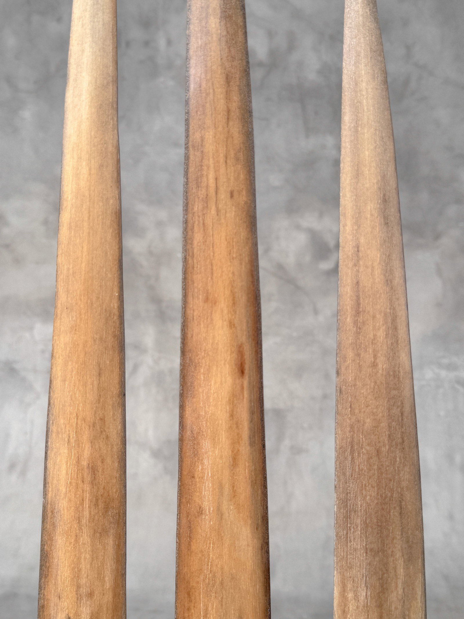 Swordfish tusk trio with custom stands - 7
