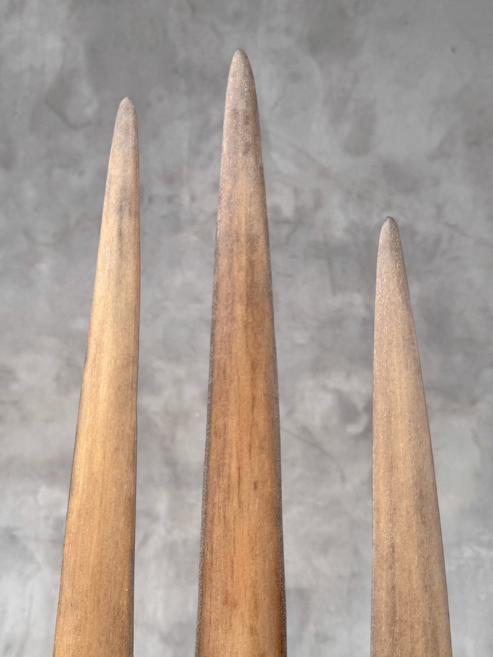 Swordfish tusk trio with custom stands - 8