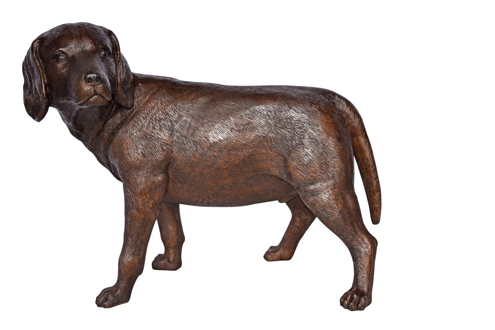 Beagle Dog Standing Made of Bronze, Statue - Size: 27"L x 14"W x 21"H.: Title:Beagle Dog Standing Made of Bronze, Statue - Size: 27"L x 14"W x 21"H. Description:A stunning Beagle Dog sculpture with fabulous muscle tone and poise that would make a great ornament for your h