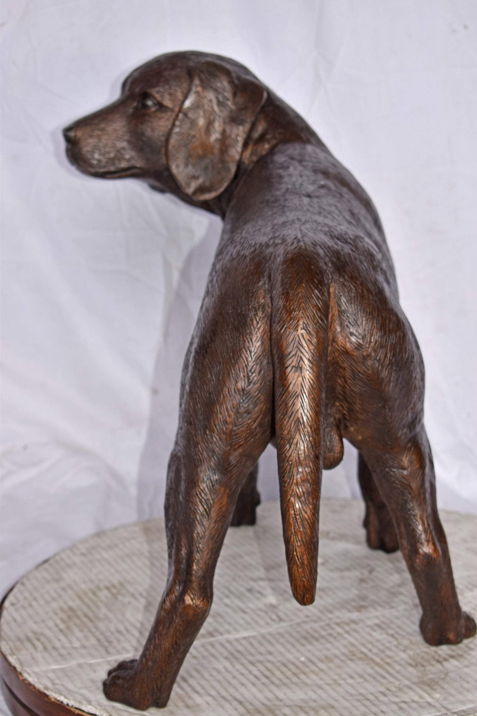 Beagle Dog Standing Made of Bronze, Statue - Size: 27"L x 14"W x 21"H. - 7