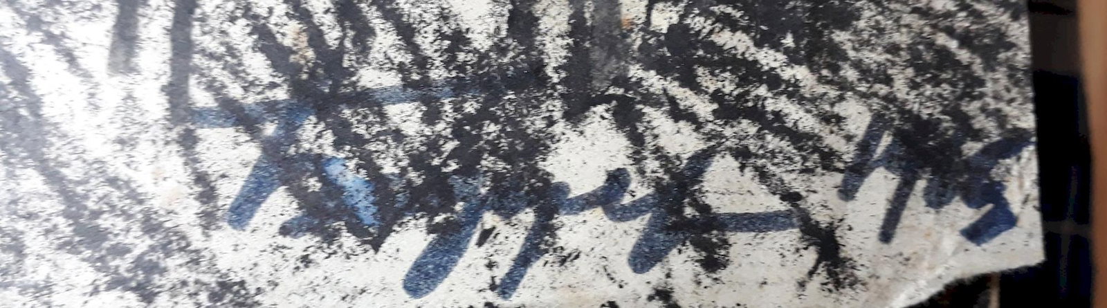 Bedzir Pavel (Ukrainian artist), "Pine", ink on paper - 2