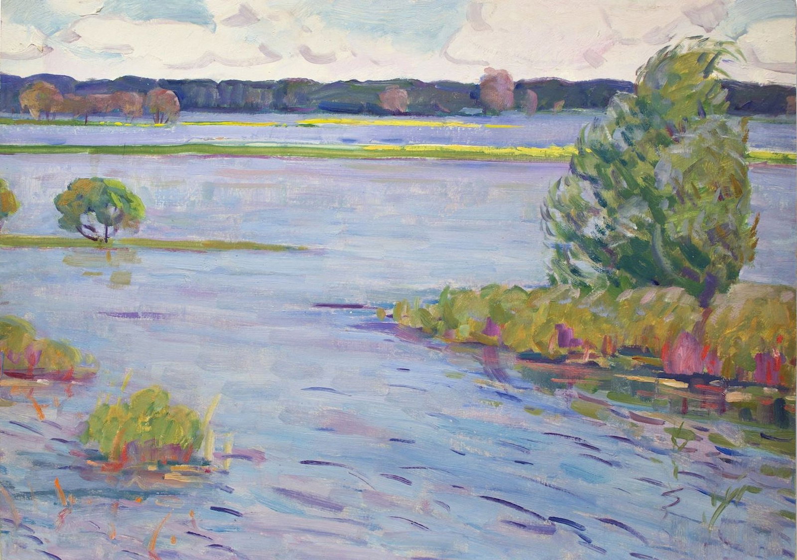 Tyukha Ivan (Ukrainian artist), "Big water", oil on cardboard: Title: Tyukha Ivan (Ukrainian artist), "Big water", oil on cardboard Artist: Tyukha Ivan Andriyovich Description: ARTIST: Tyukha Ivan Andriyovich, Ukrainian artist TITLE: "Big water" SIZE: 49 x 69