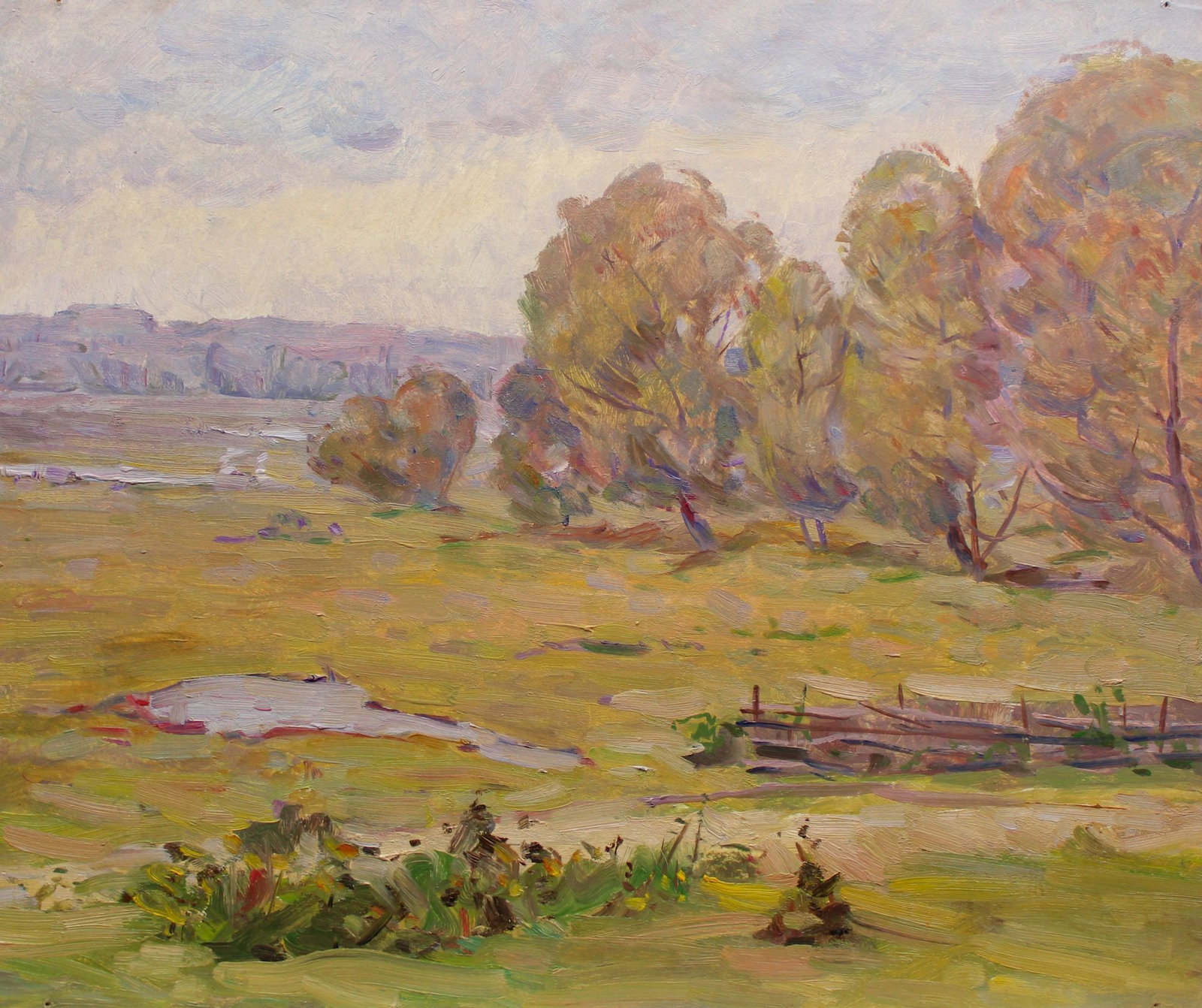 Tyukha Ivan (Ukrainian artist), "Meadow", oil on cardboard: Title: Tyukha Ivan (Ukrainian artist), "Meadow", oil on cardboard Artist: Tyukha Ivan Andriyovich Description: ARTIST: Tyukha Ivan Andriyovich, Ukrainian artist TITLE: "Meadow" SIZE: 50 x 60 cm, (19 3