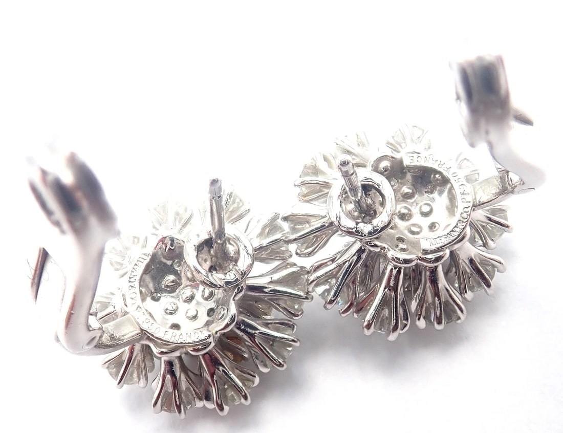 Authentic Tiffany & Co Spray Platinum Diamond Necklace Earrings Set Paper France - 13