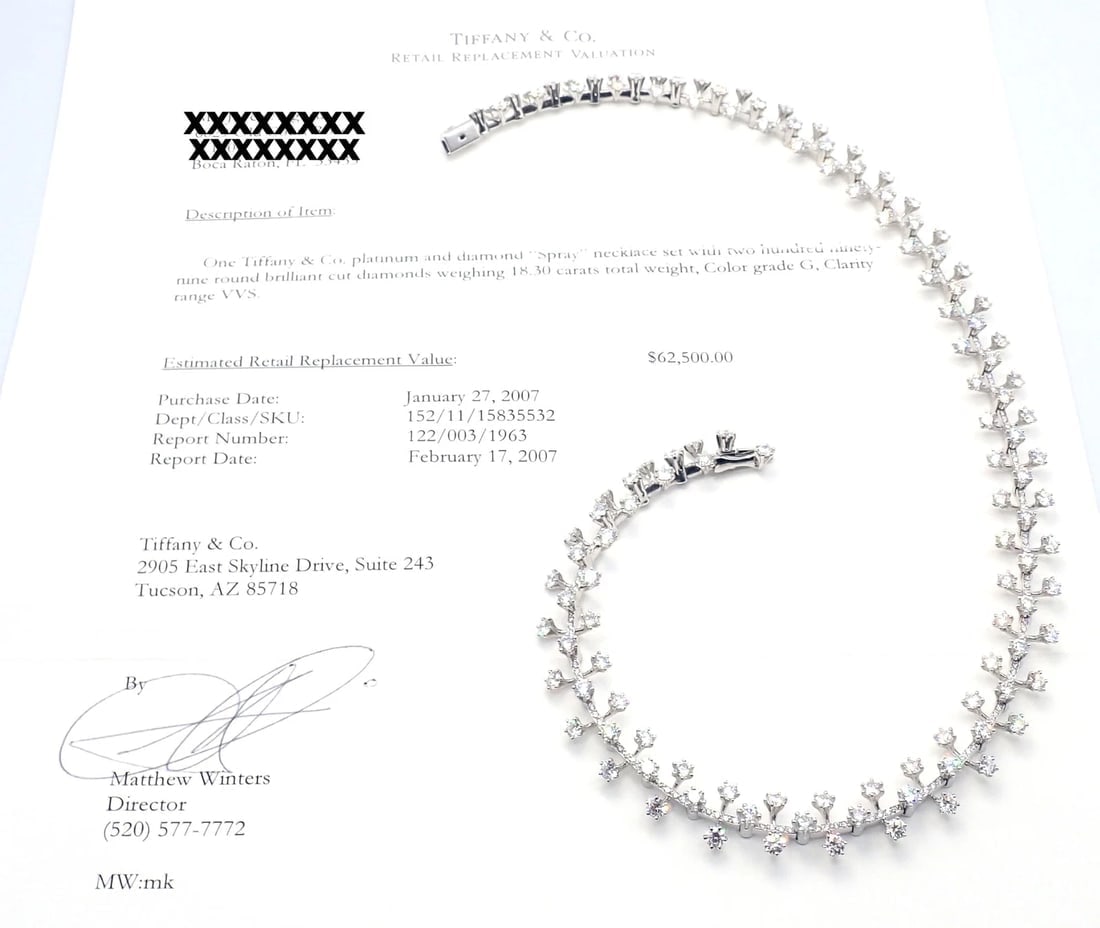 Authentic Tiffany & Co Spray Platinum Diamond Necklace Earrings Set Paper France - 7