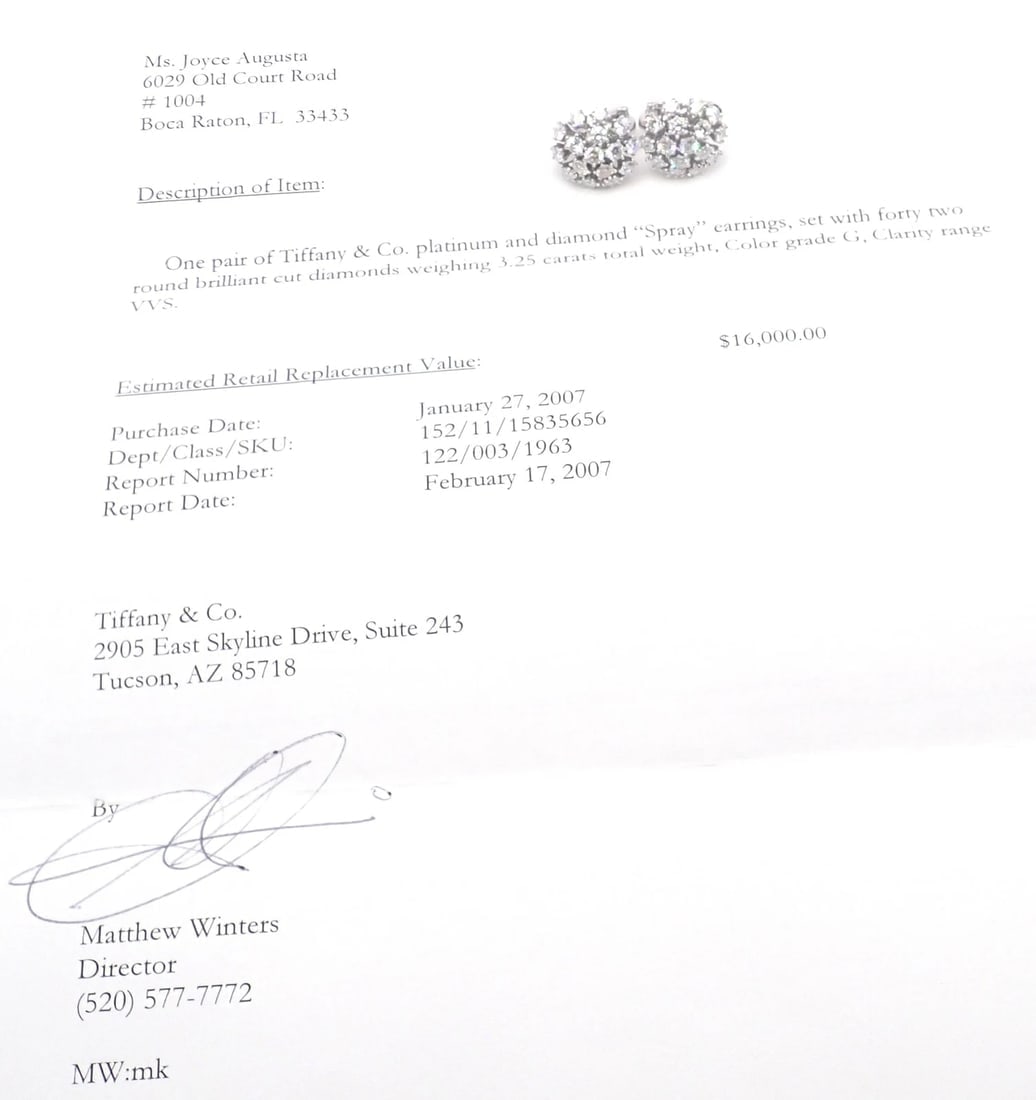 Authentic Tiffany & Co Spray Platinum Diamond Necklace Earrings Set Paper France - 8