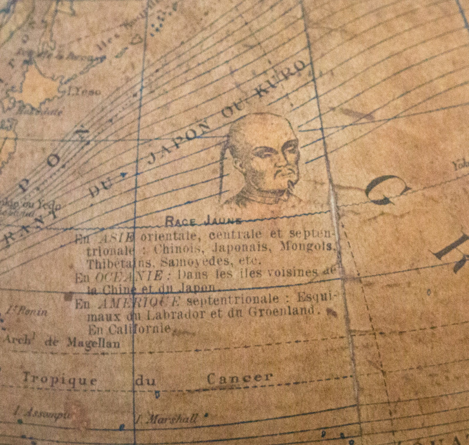 Home / 1880 antique terrestrial globe Windels - 7