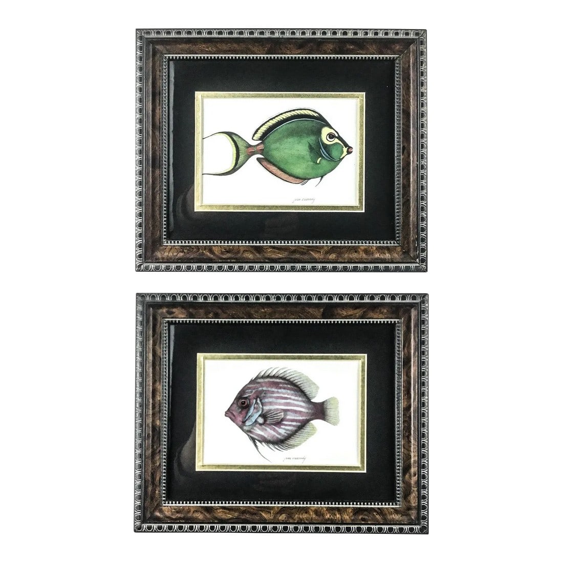 Burl-Wood Framed Pair of Tropical Fish Prints by Jean Cassady (1 of 10)