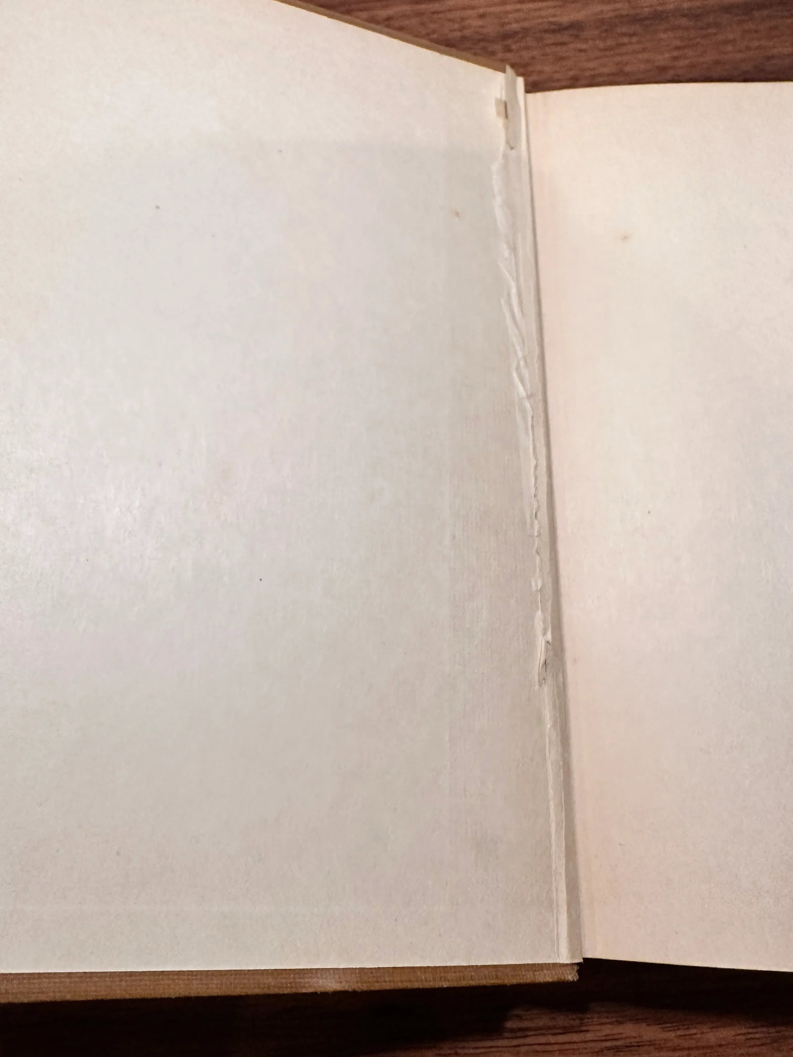 1920s Hardcover Books First Edition Grandsons Louis Adamic and Paul Bunyan James Stevens Woodcuts Al - 11