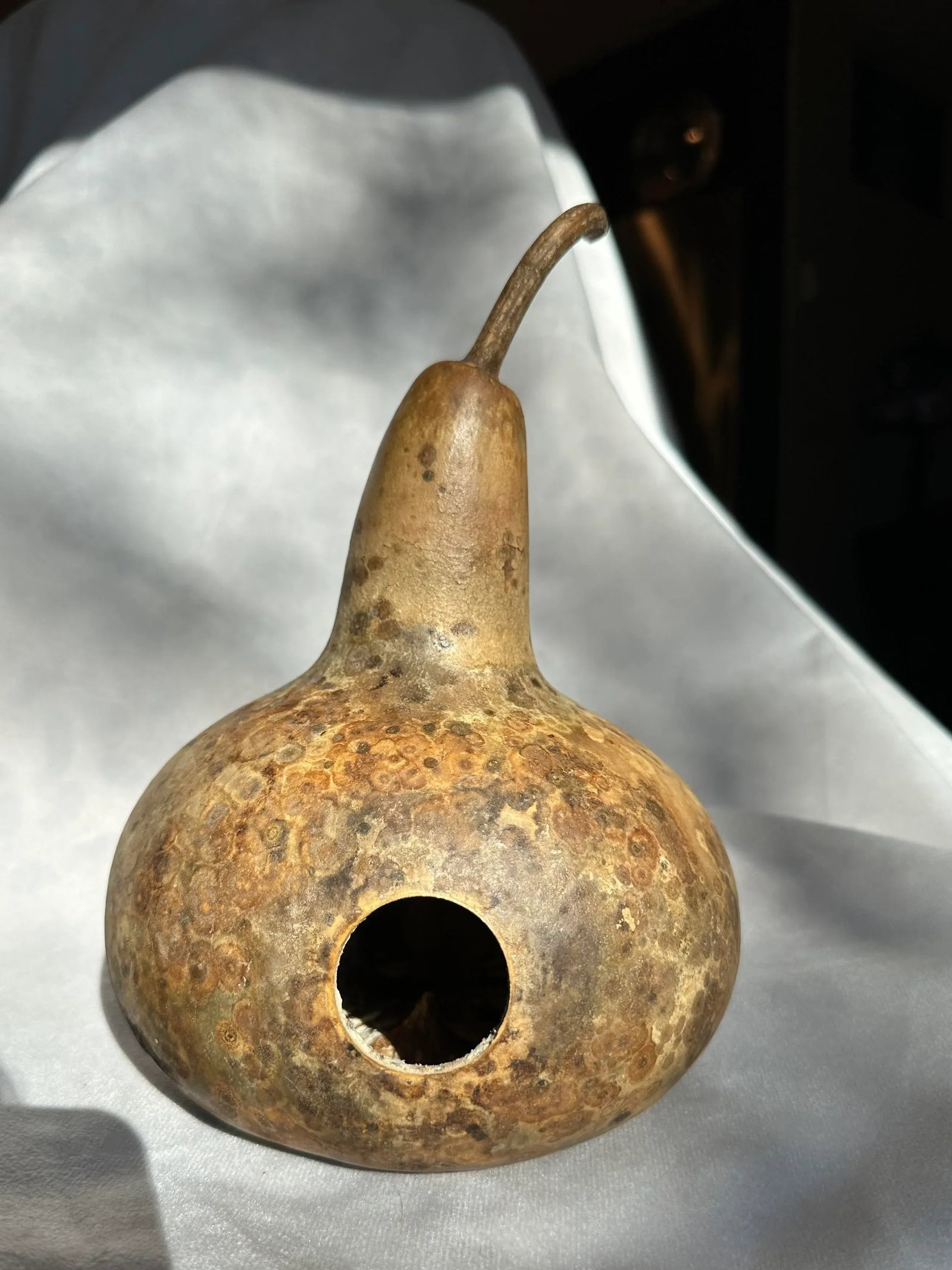 Vintage Aged Hollow Natural Gourds Decorative or Bird Houses - Set of 4 - 5