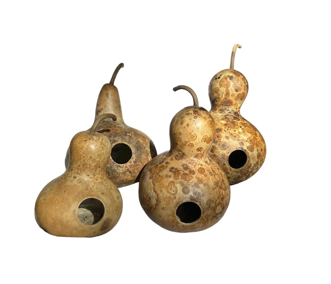 Vintage Aged Hollow Natural Gourds Decorative or Bird Houses - Set of 4 - 7