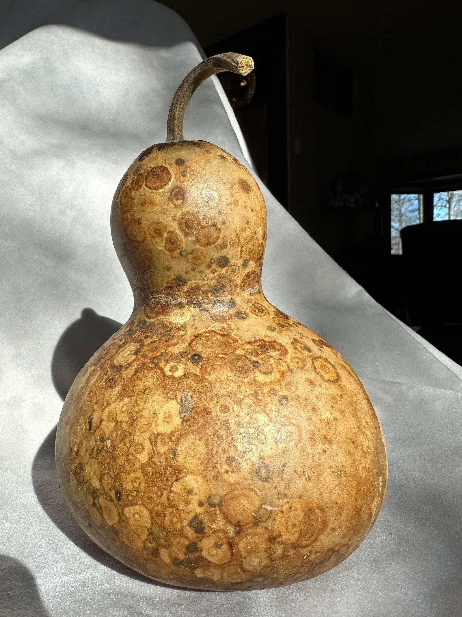 Vintage Aged Hollow Natural Gourds Decorative or Bird Houses - Set of 4 - 9