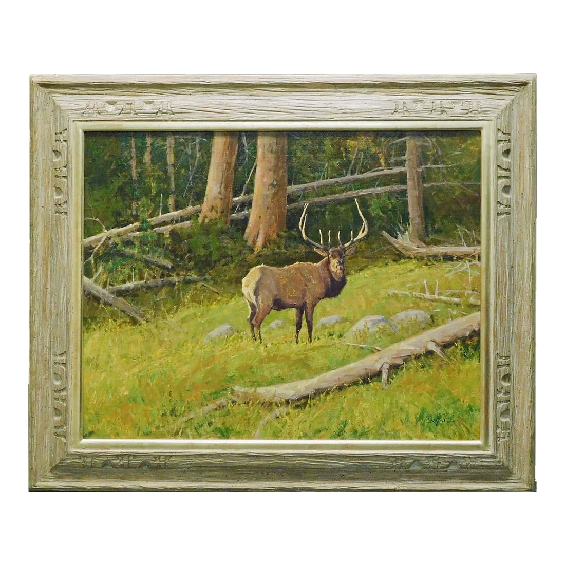 John Demott "Black Timber Bull" Original Oil Painting on Canvas Hand Signed Deer Framed: Black Timber Bull Original Oil on Canvas by John Demott Hand Signed by the Artist Image Size: 24" x 30" Frame Size: 32" x 39" Custom Frame Condition: MINT Certificate of Authenticity is included. DeMo