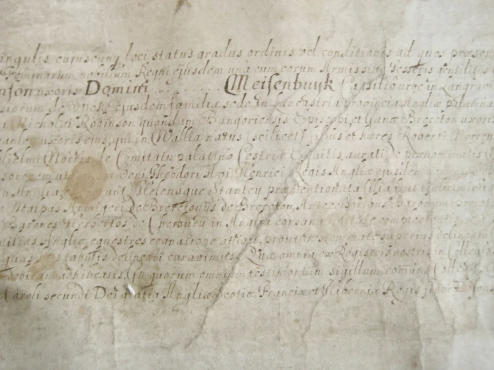 German Genealogist Tree Coat of Arm of a Duke Family Frame - 7