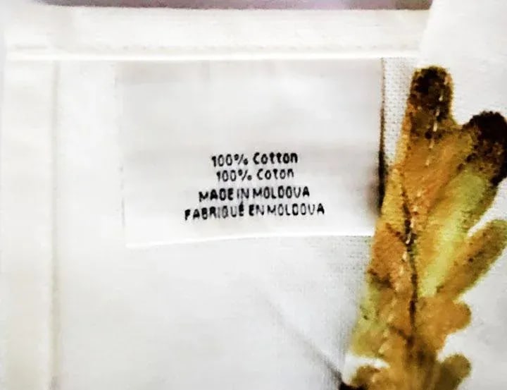 Williams-Sonoma Botanical Pumpkin Soup Plates Napkins, Towel & Napkin Rings Set- 11 Pieces - 6