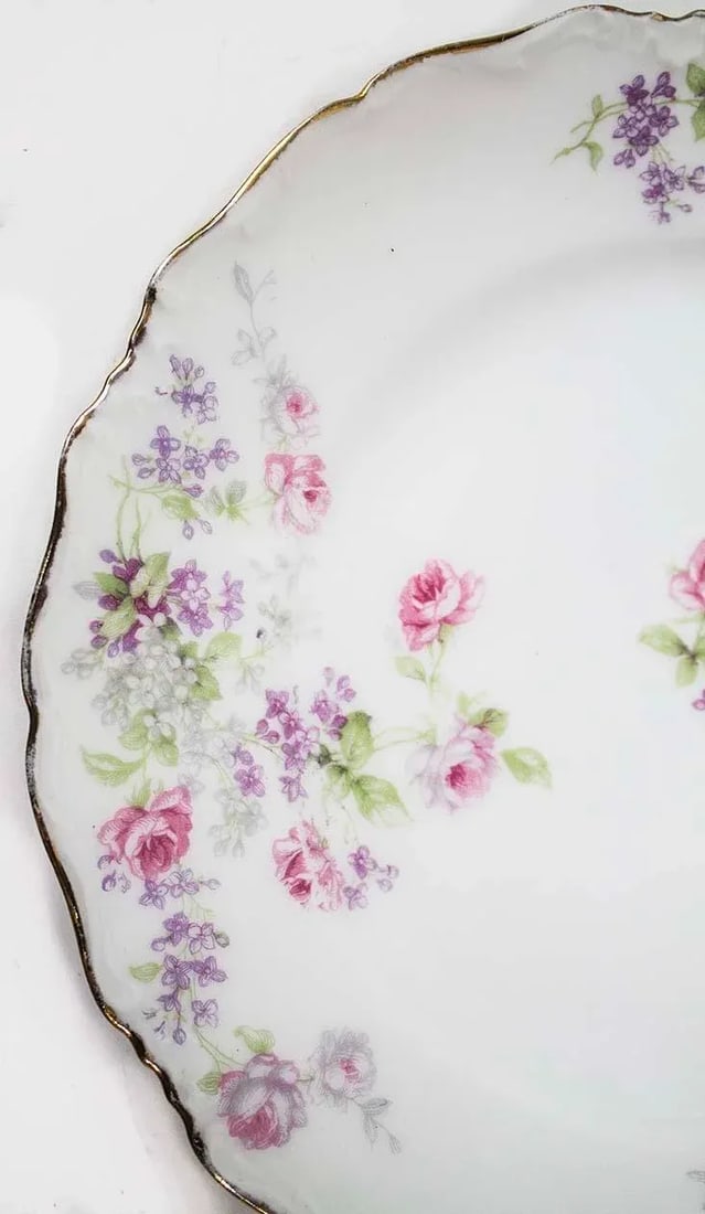 Limoges China Depose Pattern - Set of 6 Plates - 4