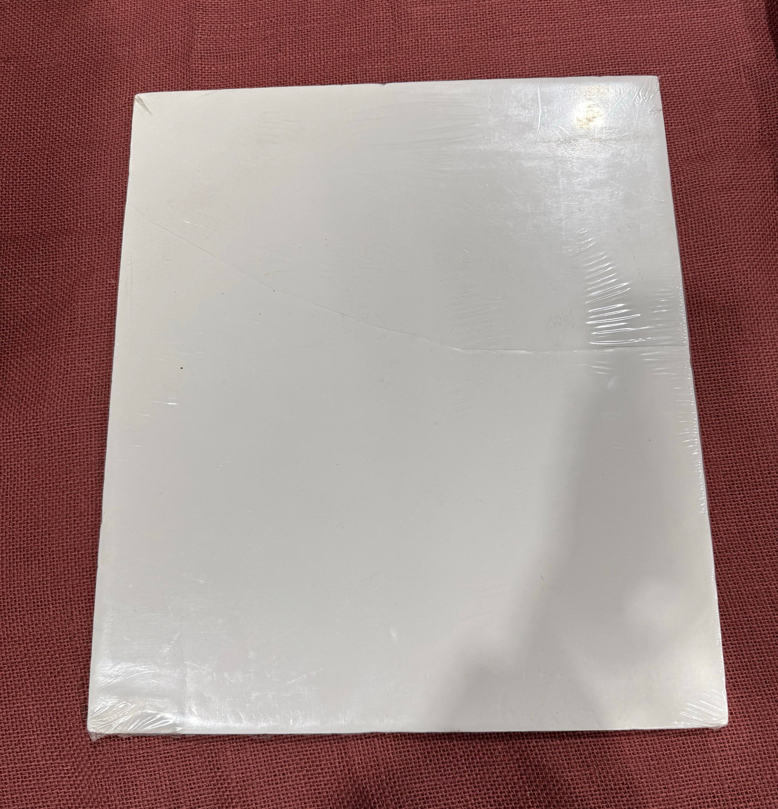 Vintage Sharon Van Etten Glossy 8x10 Photo - 2