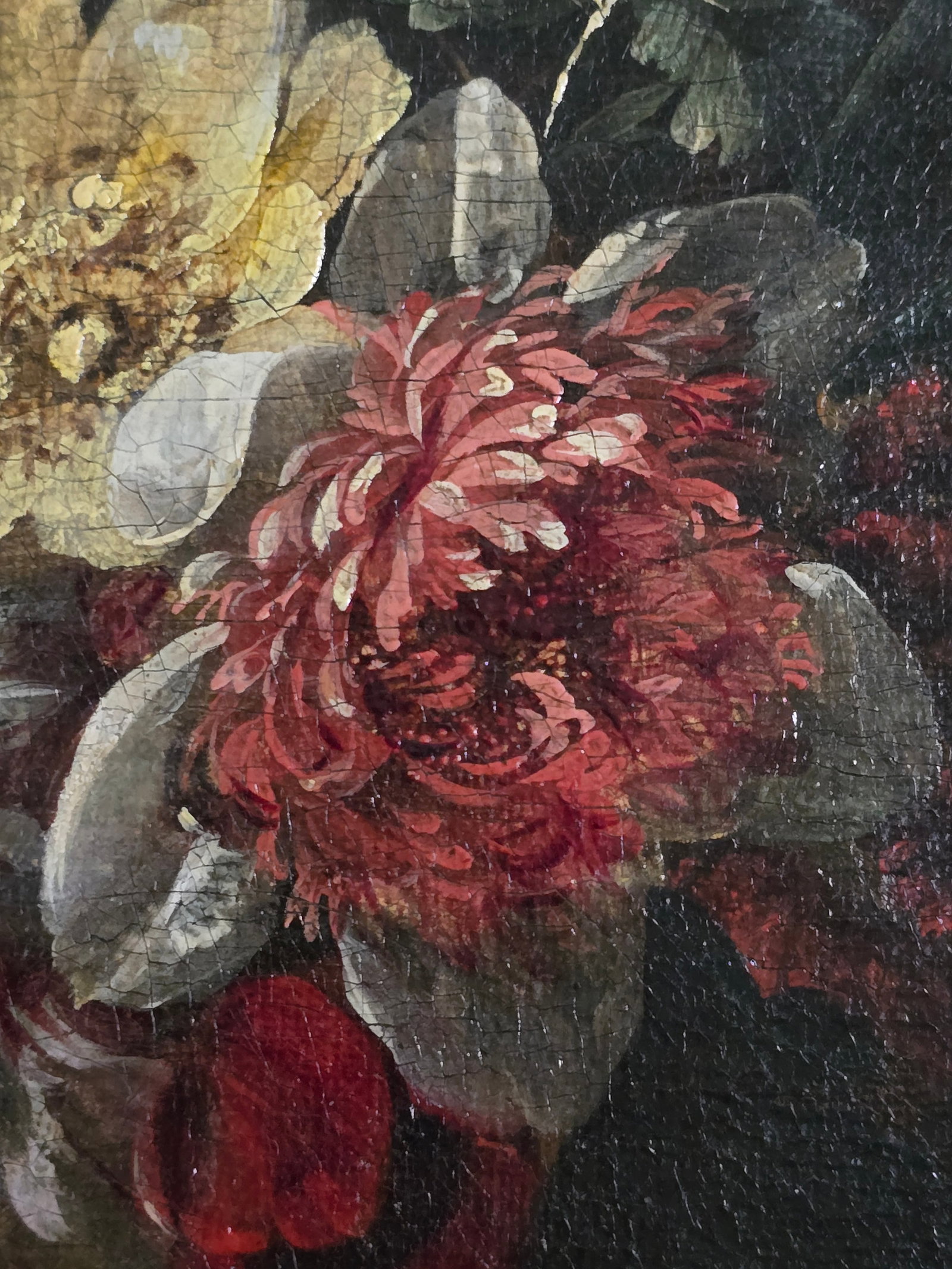 17th Century Old Master Jean Baptiste Morel (1662-1732) Still Life With a Tulip, Ex Christie's - 7