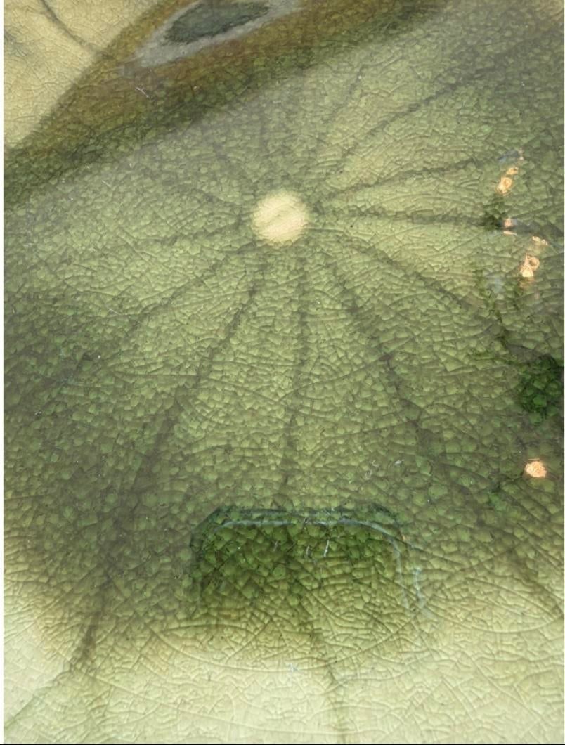 Global Views Lily Pad Lotus Charger Plates 11" – Pair – Treillage Nyc Provenance - 2