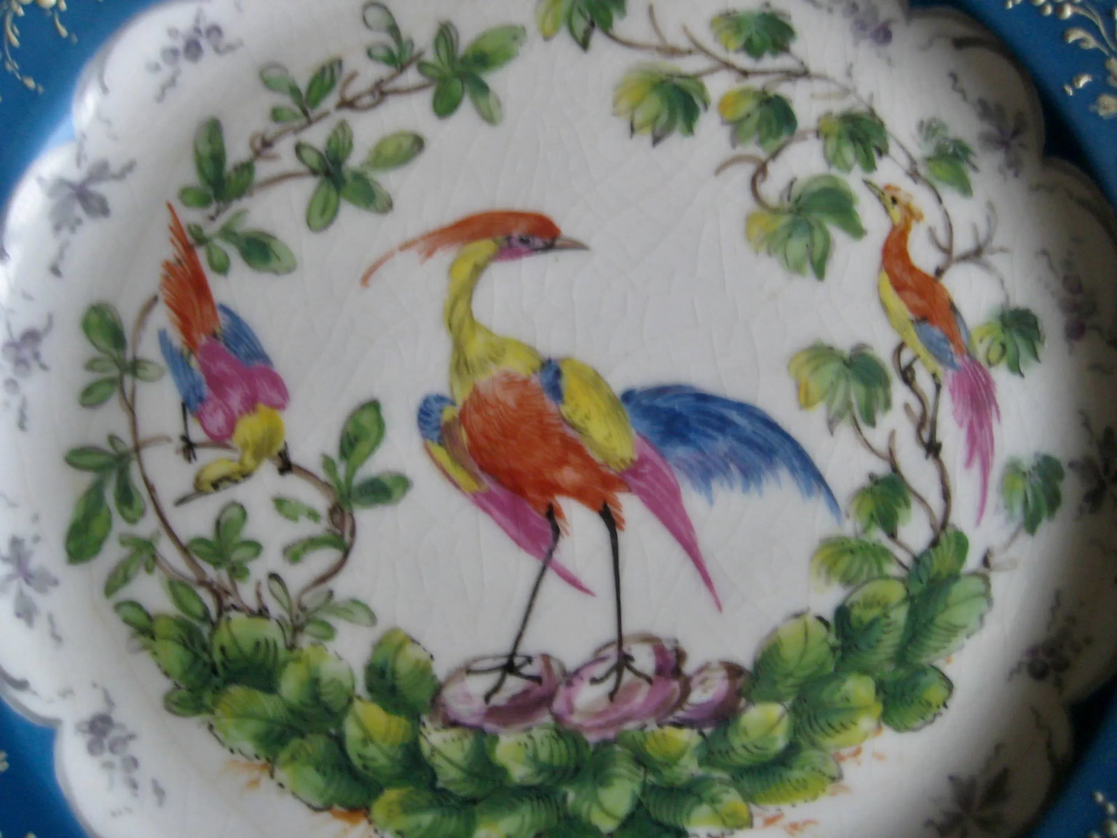 Dresden Bird Porcelain Plates- Set of 4 - 8