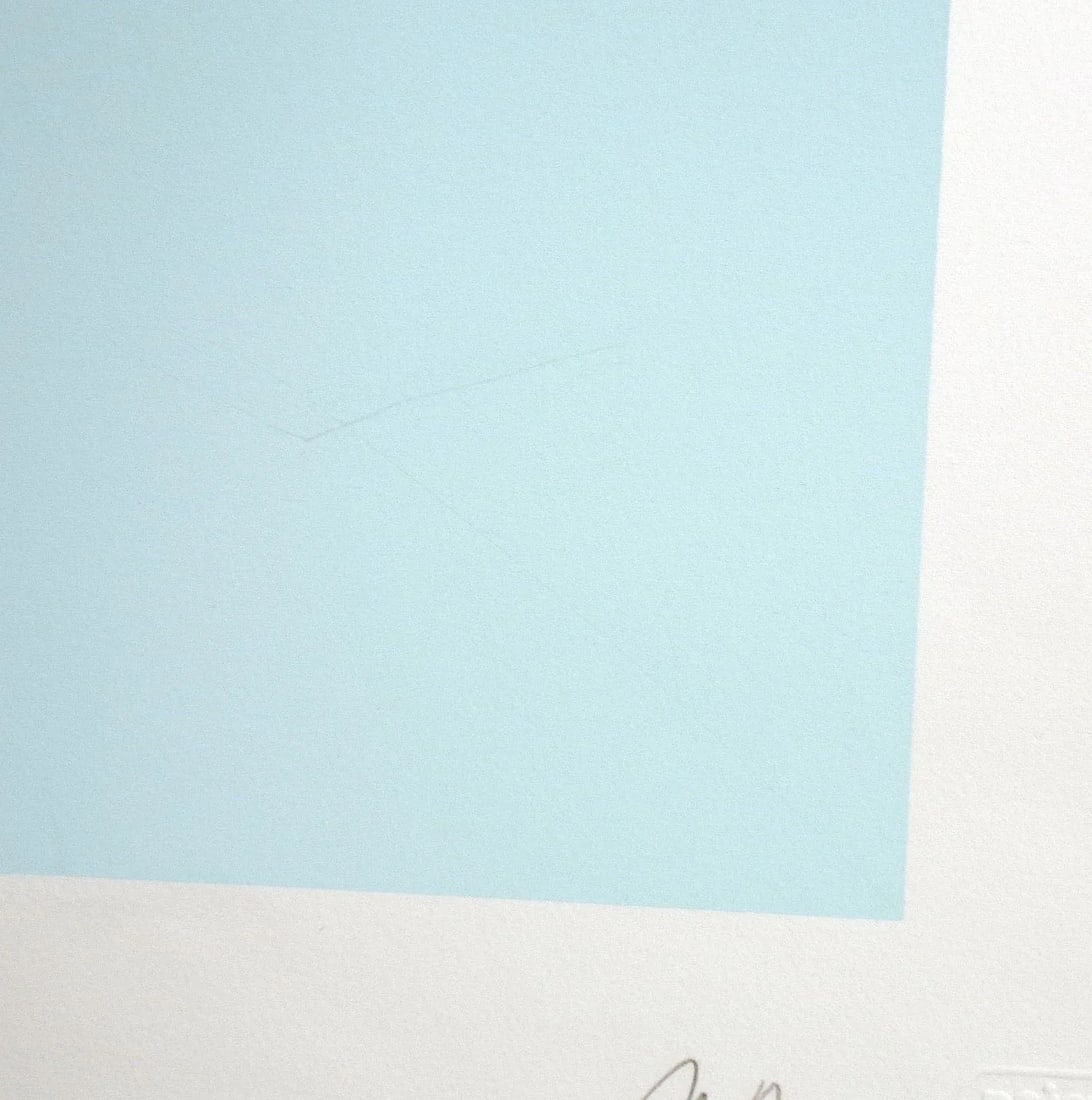 Peter Max "Walking in the Garden" Hand Signed Art Serigraph 1979 - 7