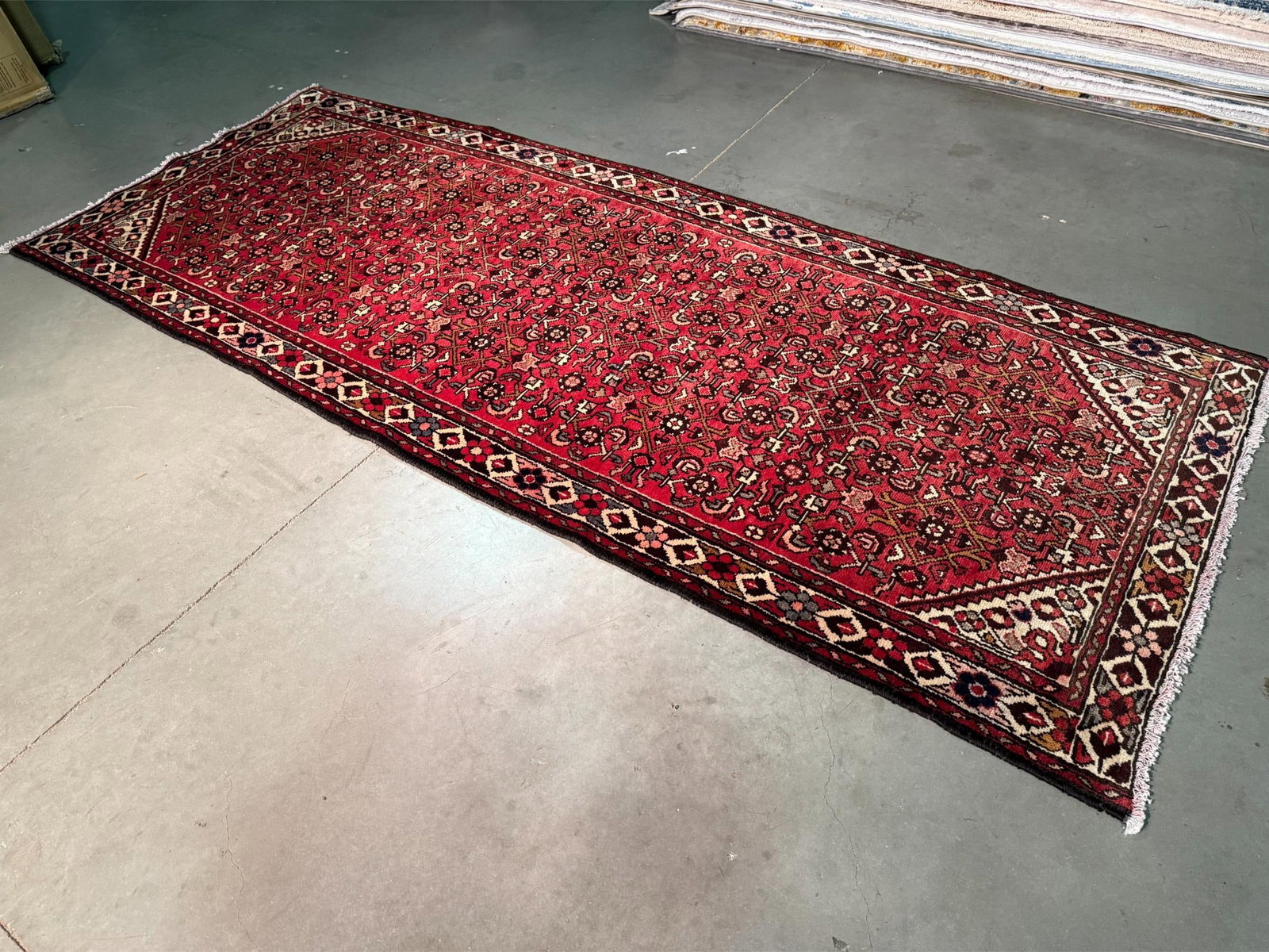 Stunning Persian Hamedan Rug 3.10x9.5 - 6