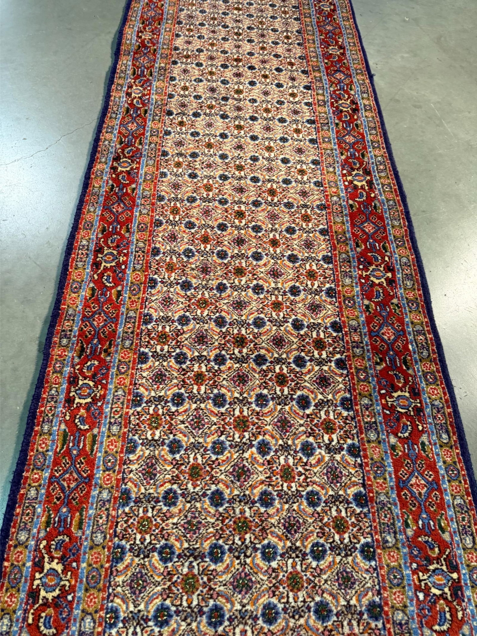 Magnificent Persian Runner 2.8x9.8 - 4