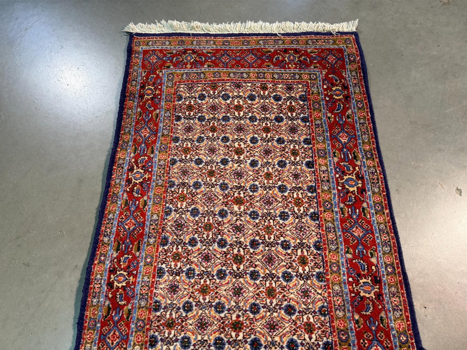 Magnificent Persian Runner 2.8x9.8 - 6