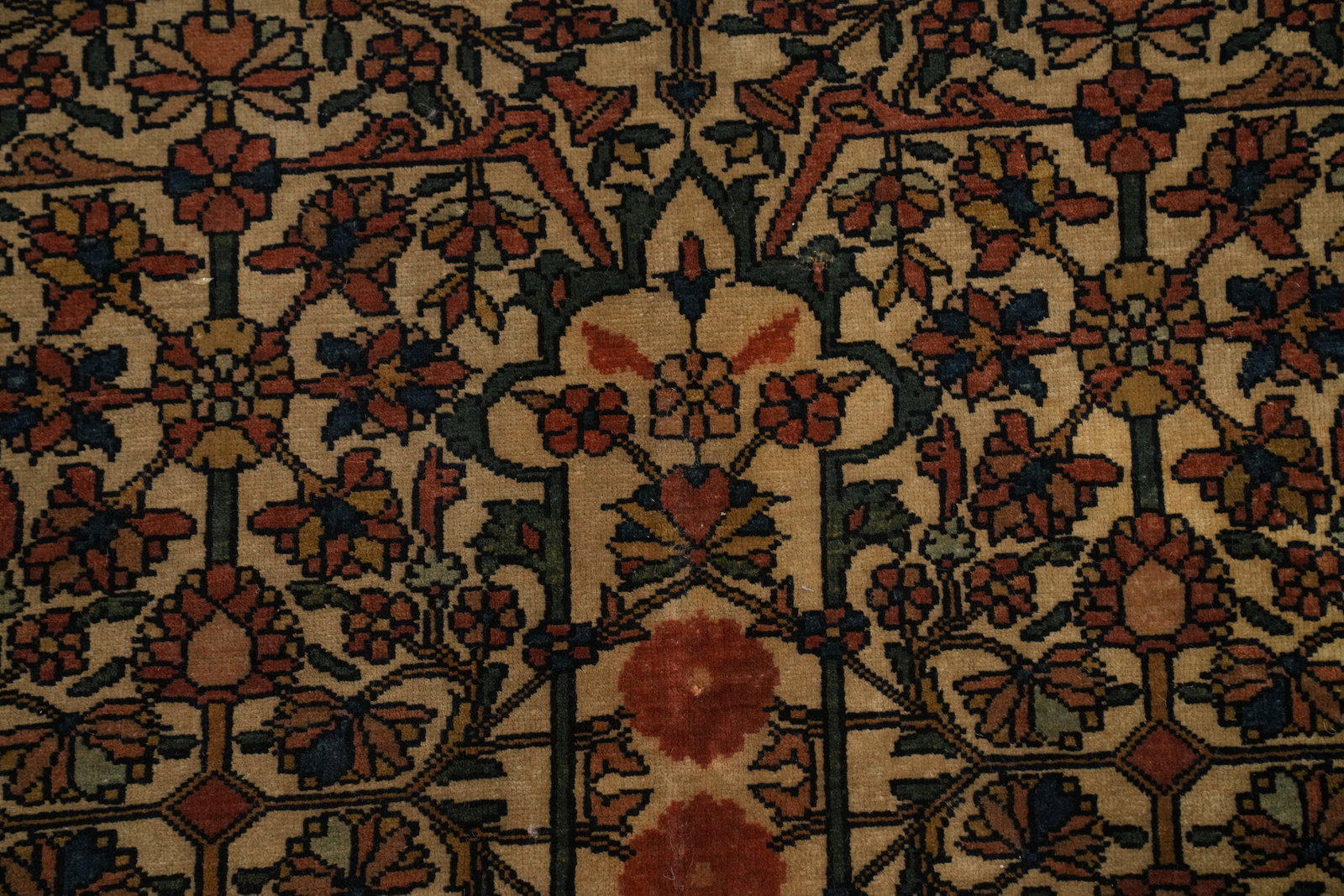 Pre-1900 Vegetable Dye Sarouk Farahan Persian Rug 4x7 - 9