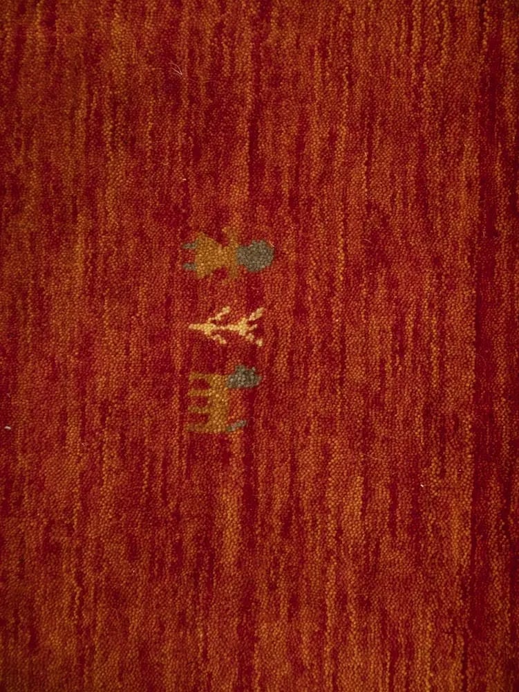 Orange-red Tribal 6X9 Gabbeh Modern Rug - 7