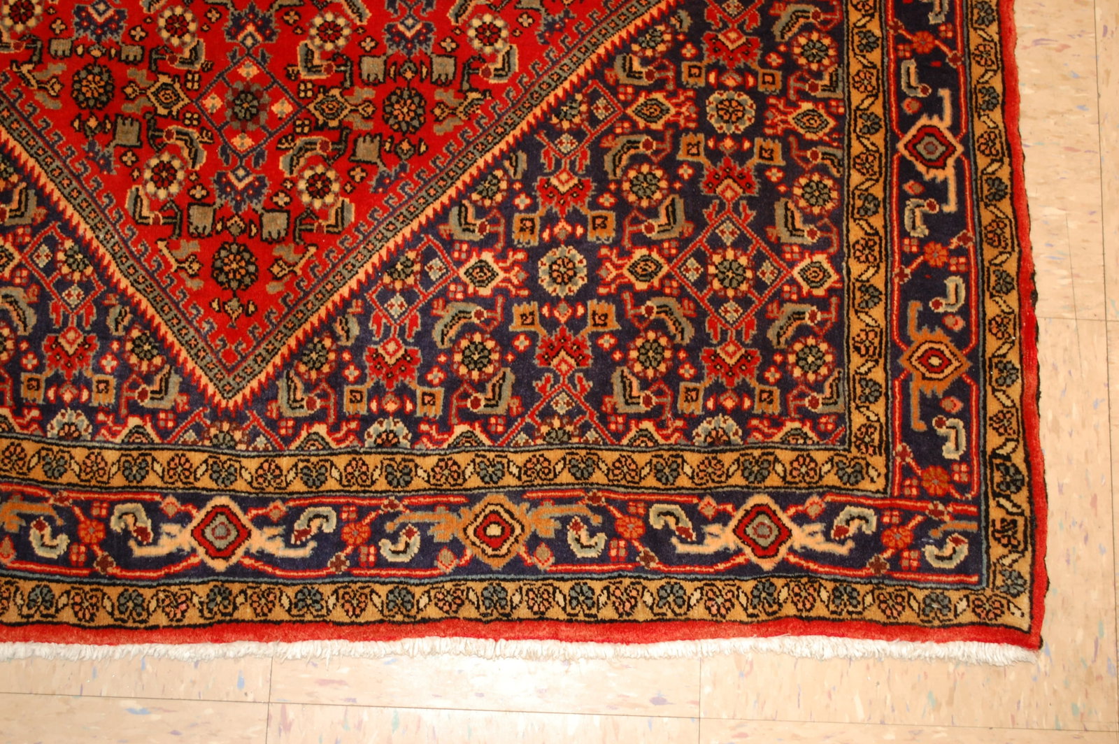 Persian BEJAR RUG 3'10" x 5'8" - 7