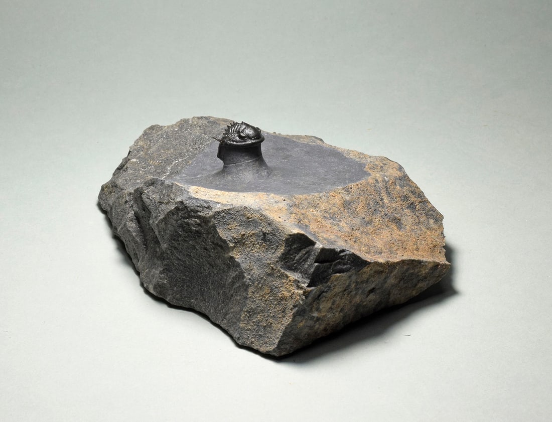 Rare trilobite Phaetonellus - 4