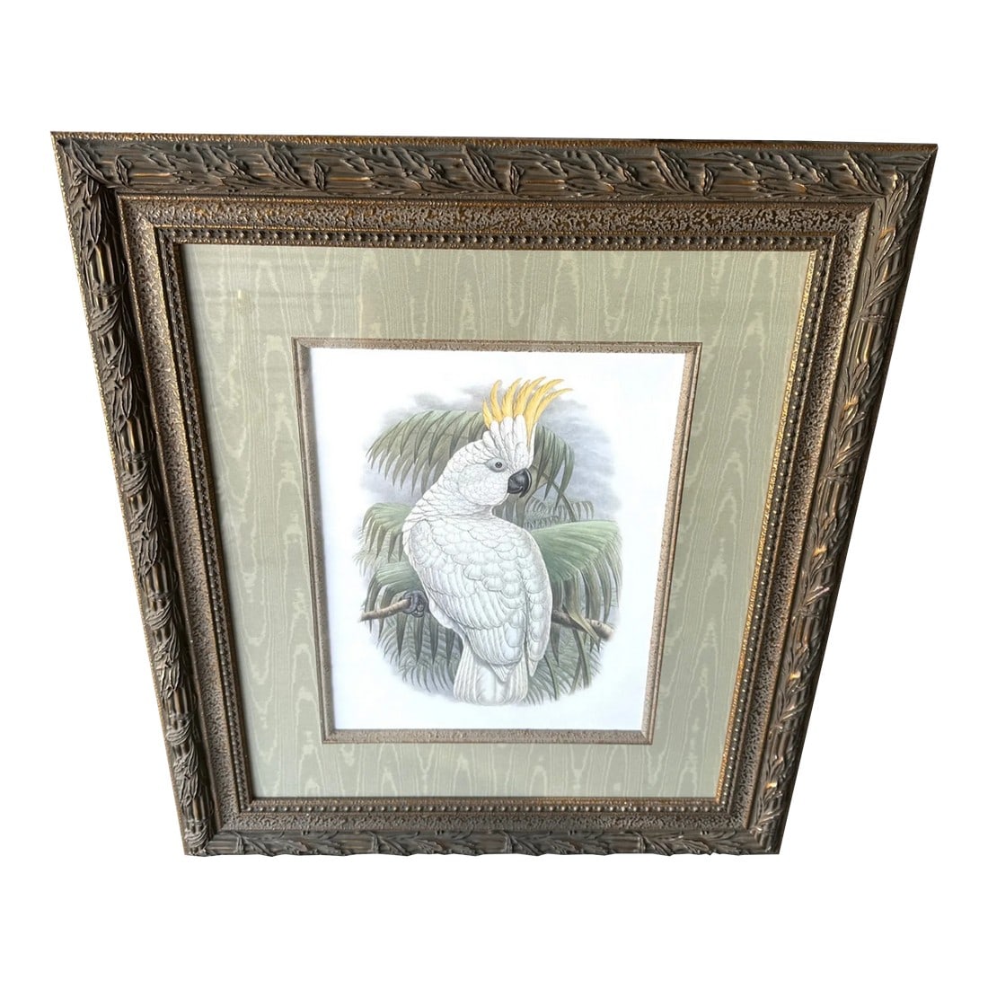 Palm Beach Style Cockatoo Art Print: Palm Beach Style Illustration from the latter part of the 19th century, the exquisite cockatoo make a fabulous gallery wall and can also common a room alone. Matted 30in h x 26in w x 1.5in d Make