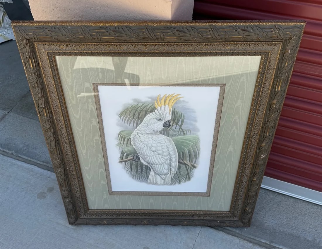 Palm Beach Style Cockatoo Art Print - 2