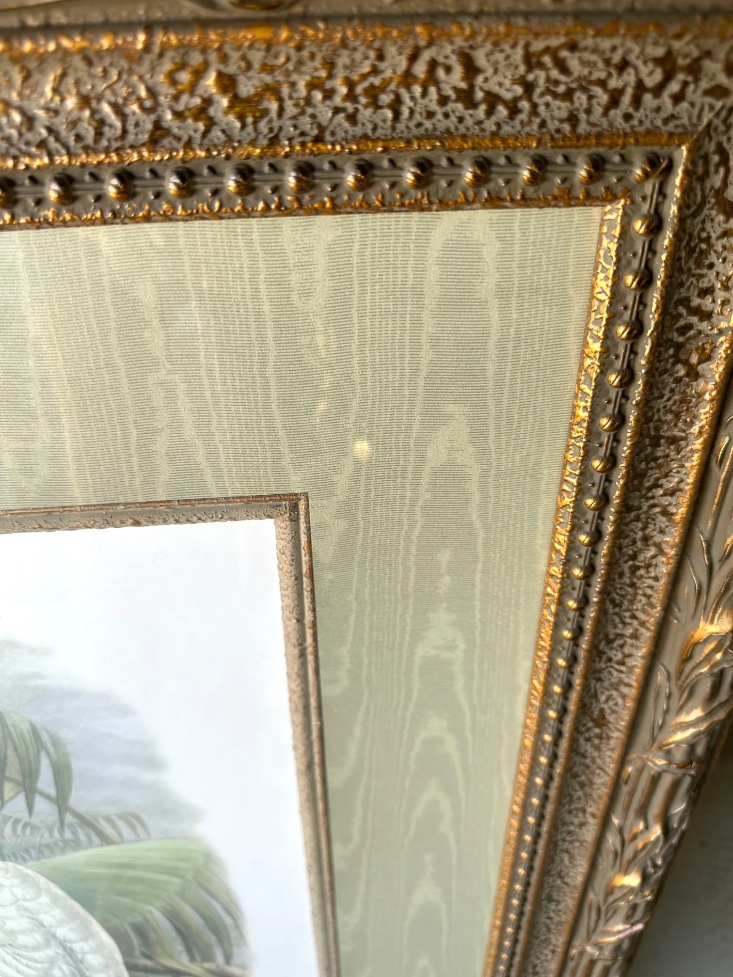 Palm Beach Style Cockatoo Art Print - 3