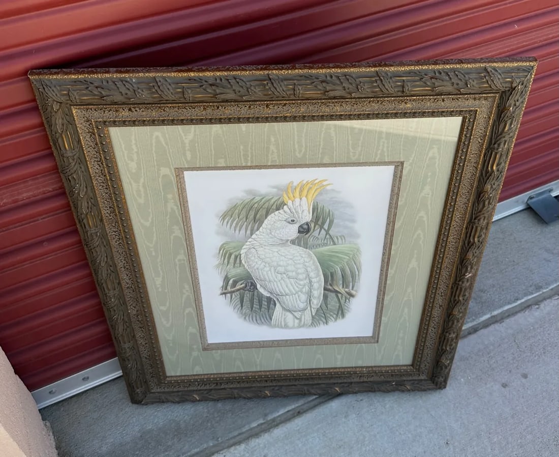 Palm Beach Style Cockatoo Art Print - 4