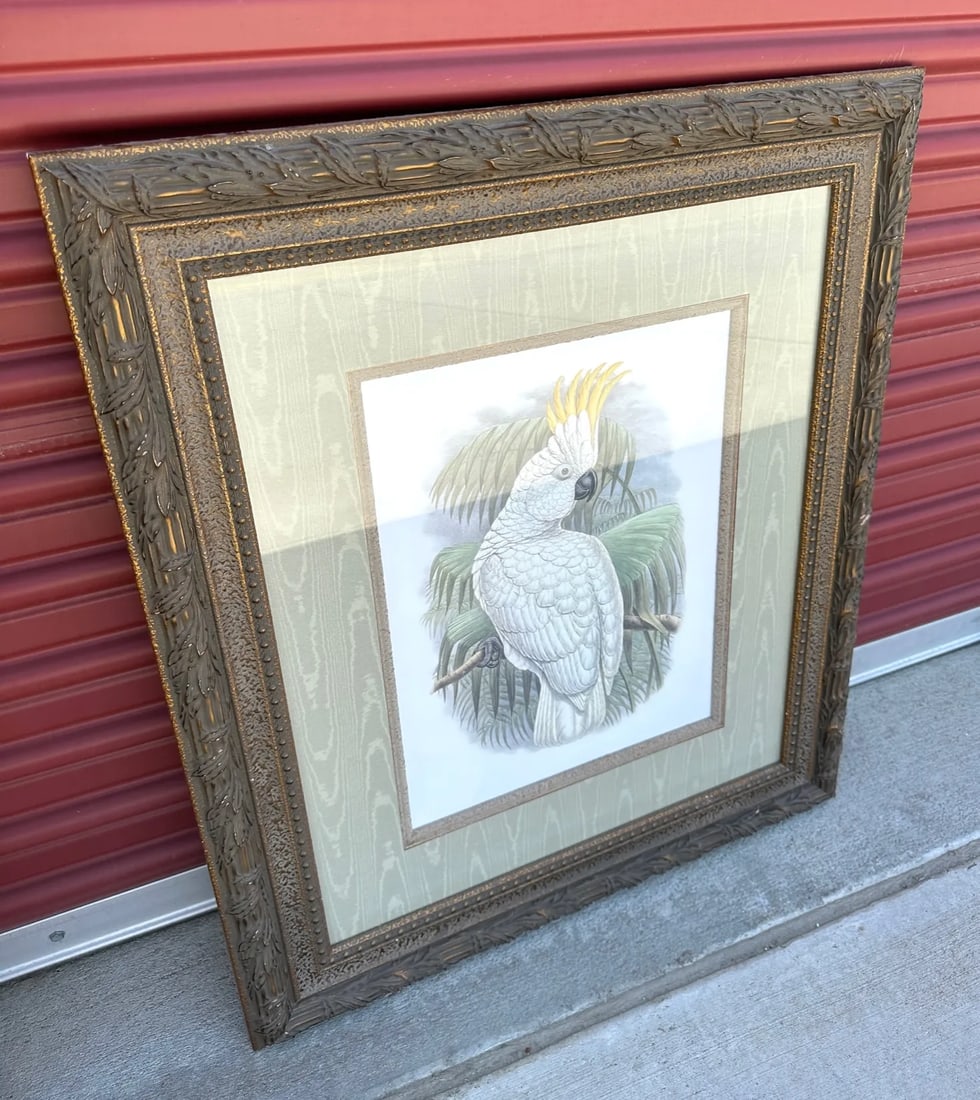 Palm Beach Style Cockatoo Art Print - 5