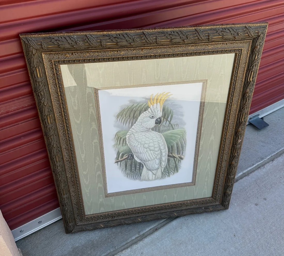 Palm Beach Style Cockatoo Art Print - 6