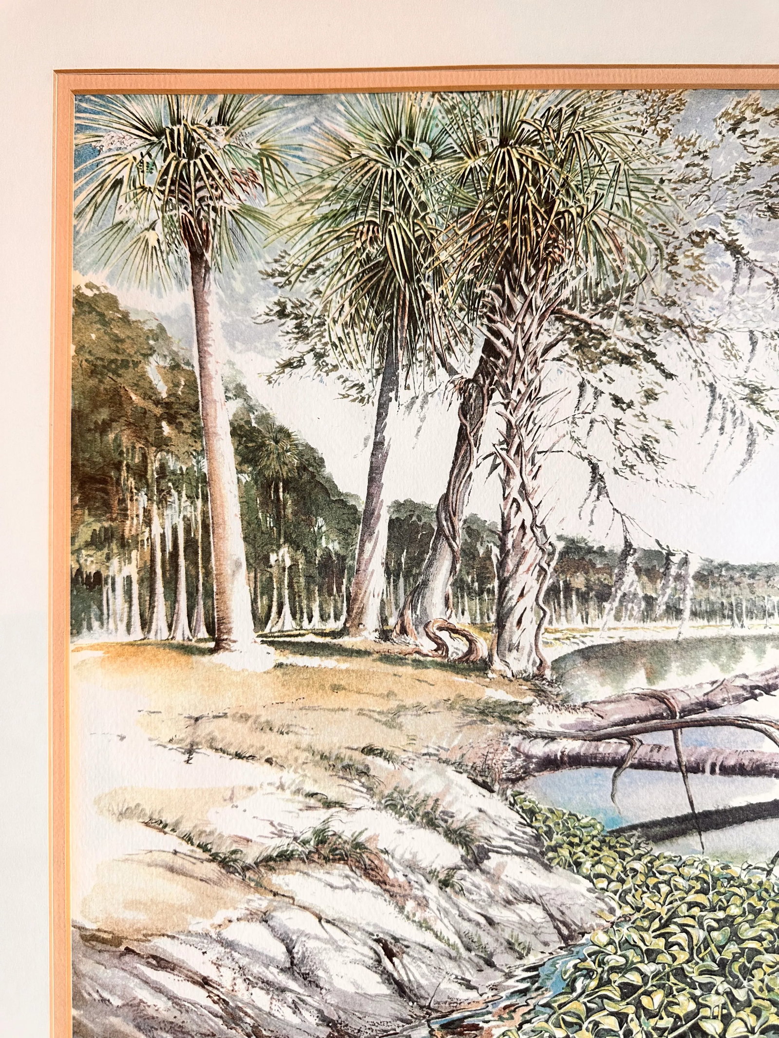 Limited Edition 3/500 Tropical Seascape Watercolor - 2