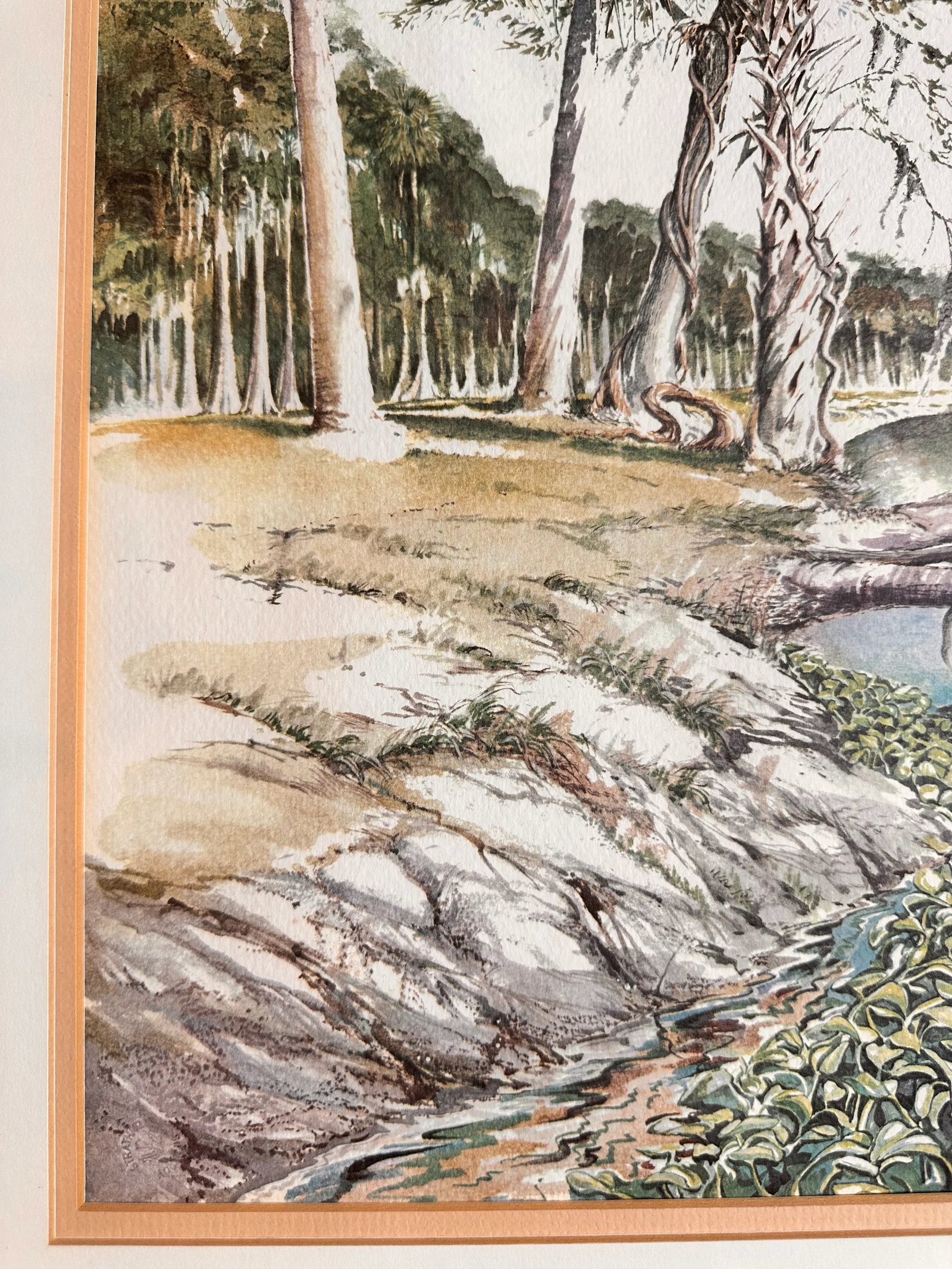 Limited Edition 3/500 Tropical Seascape Watercolor - 4