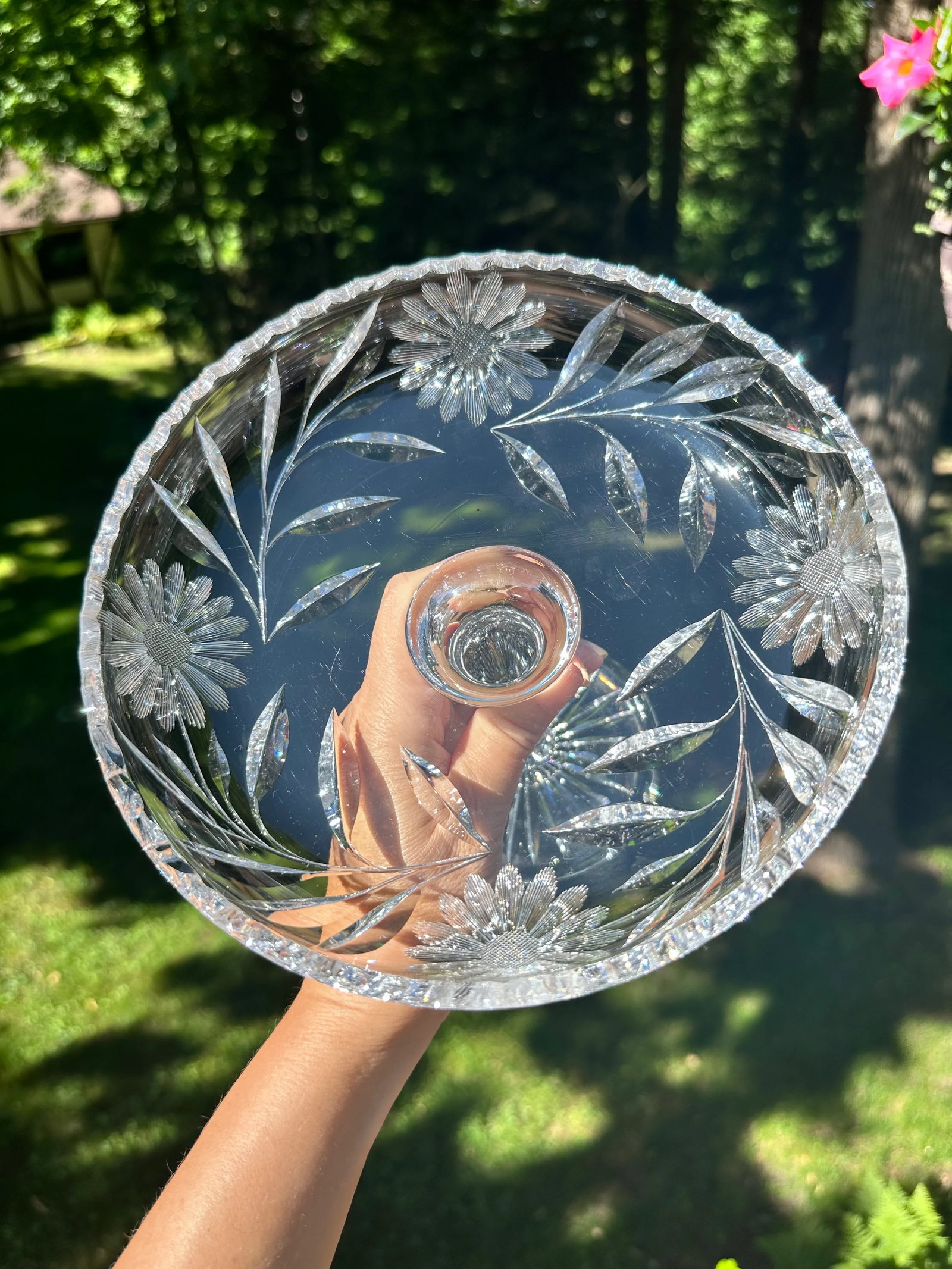 Antique American Brilliant Period Comport - 3