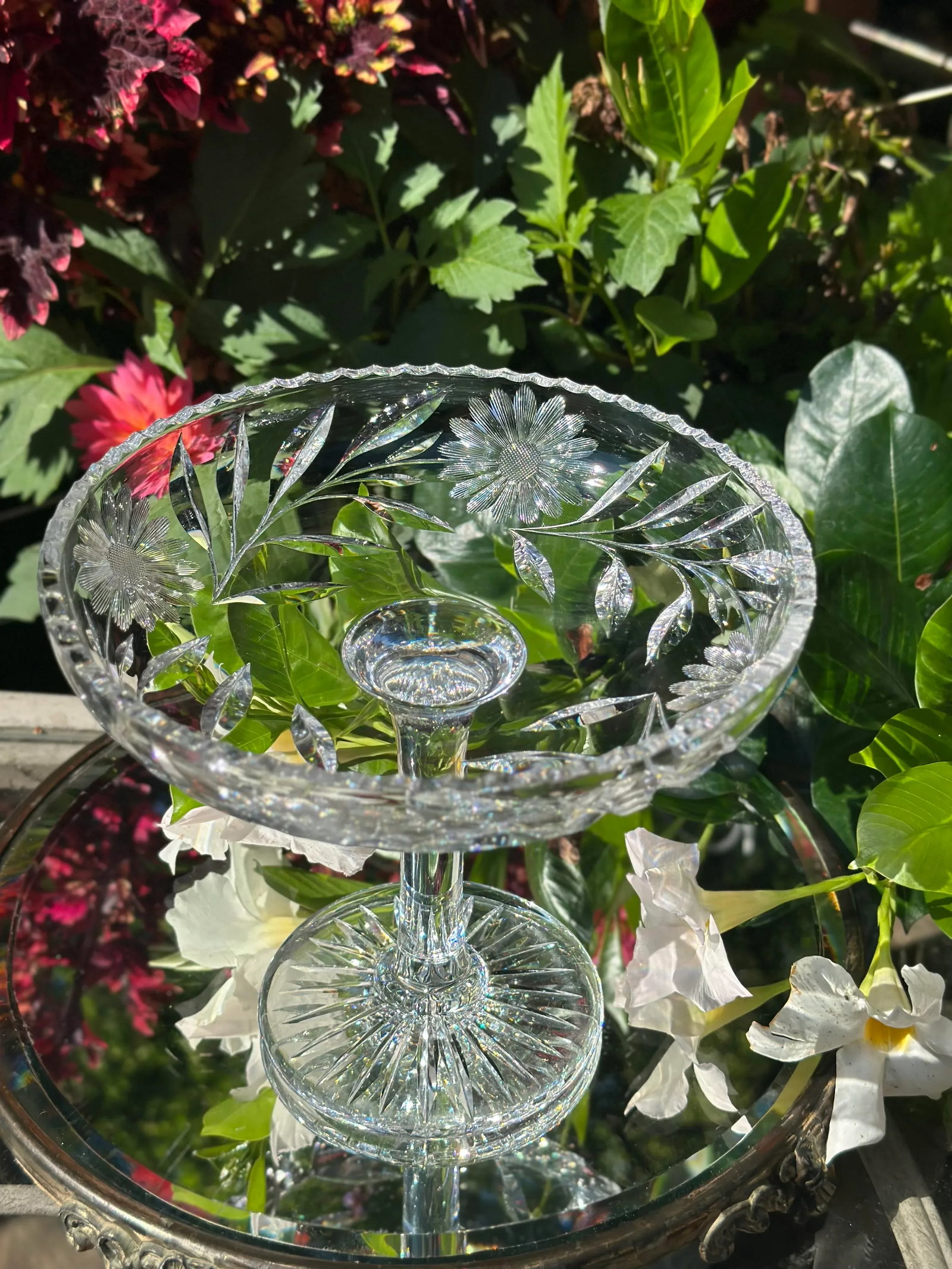 Antique American Brilliant Period Comport - 4