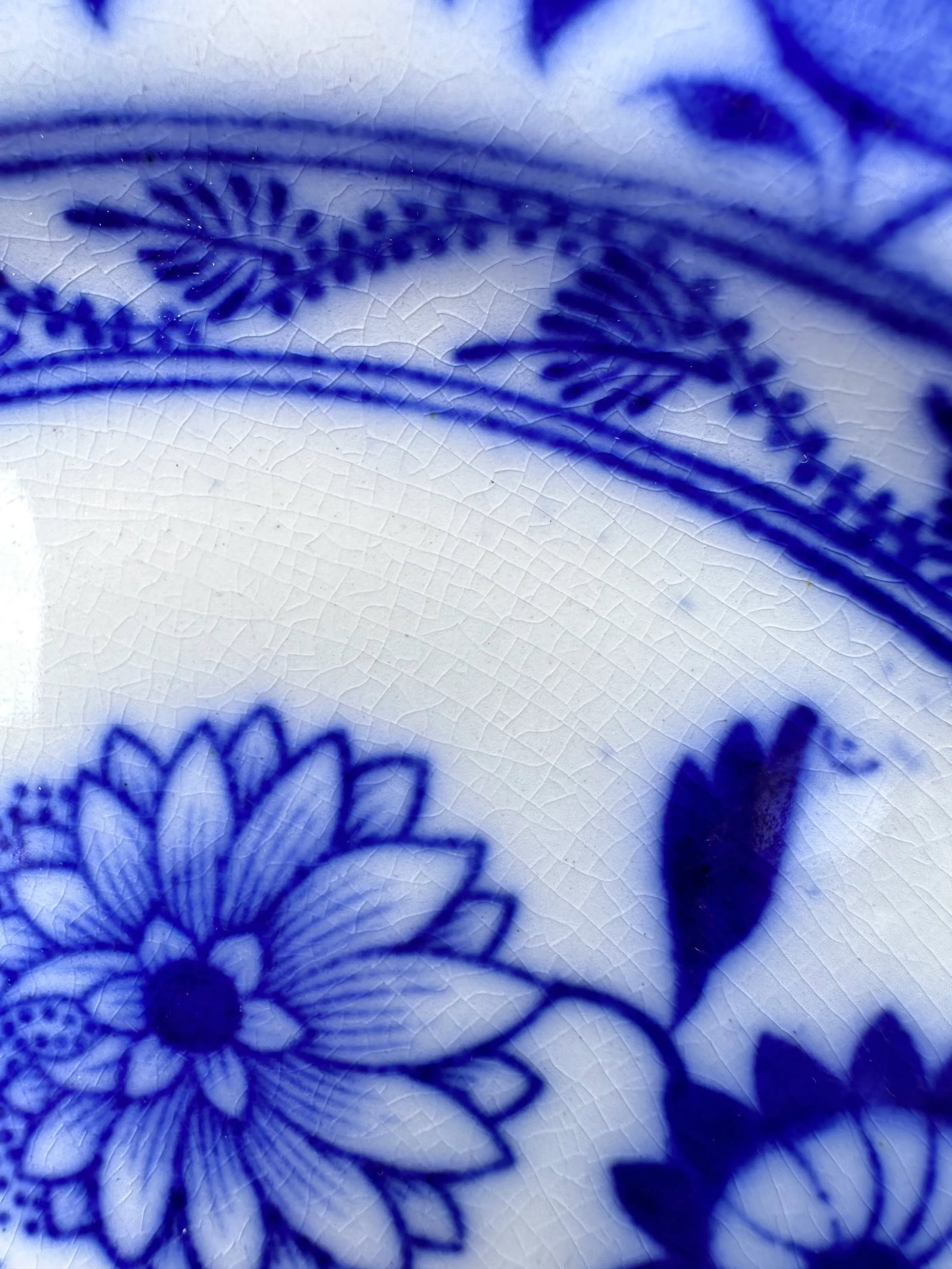 Early 20th Century English Blue Onion Flow Blue Plate - 8