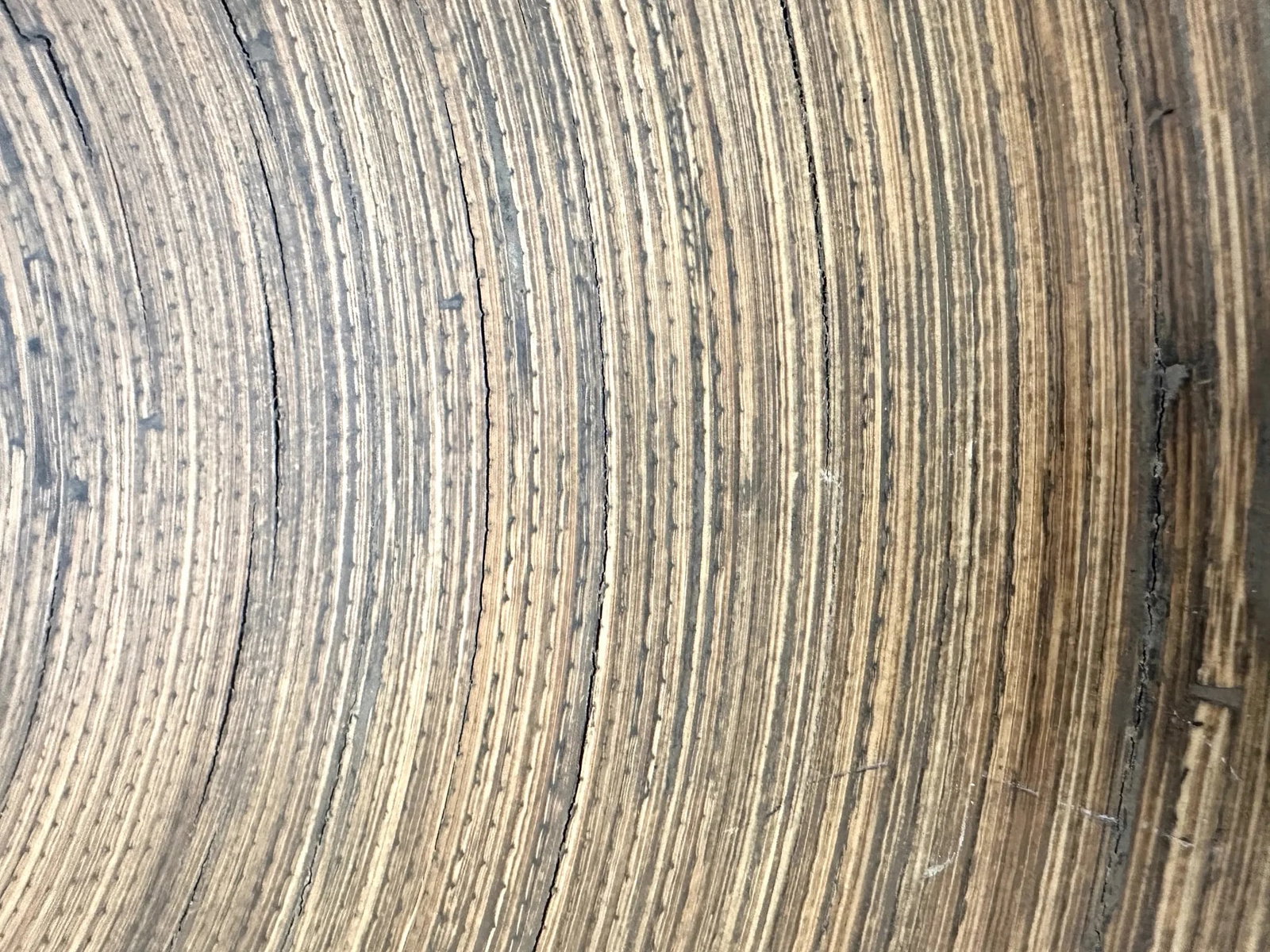 Large Bamboo Wall Accent - 4