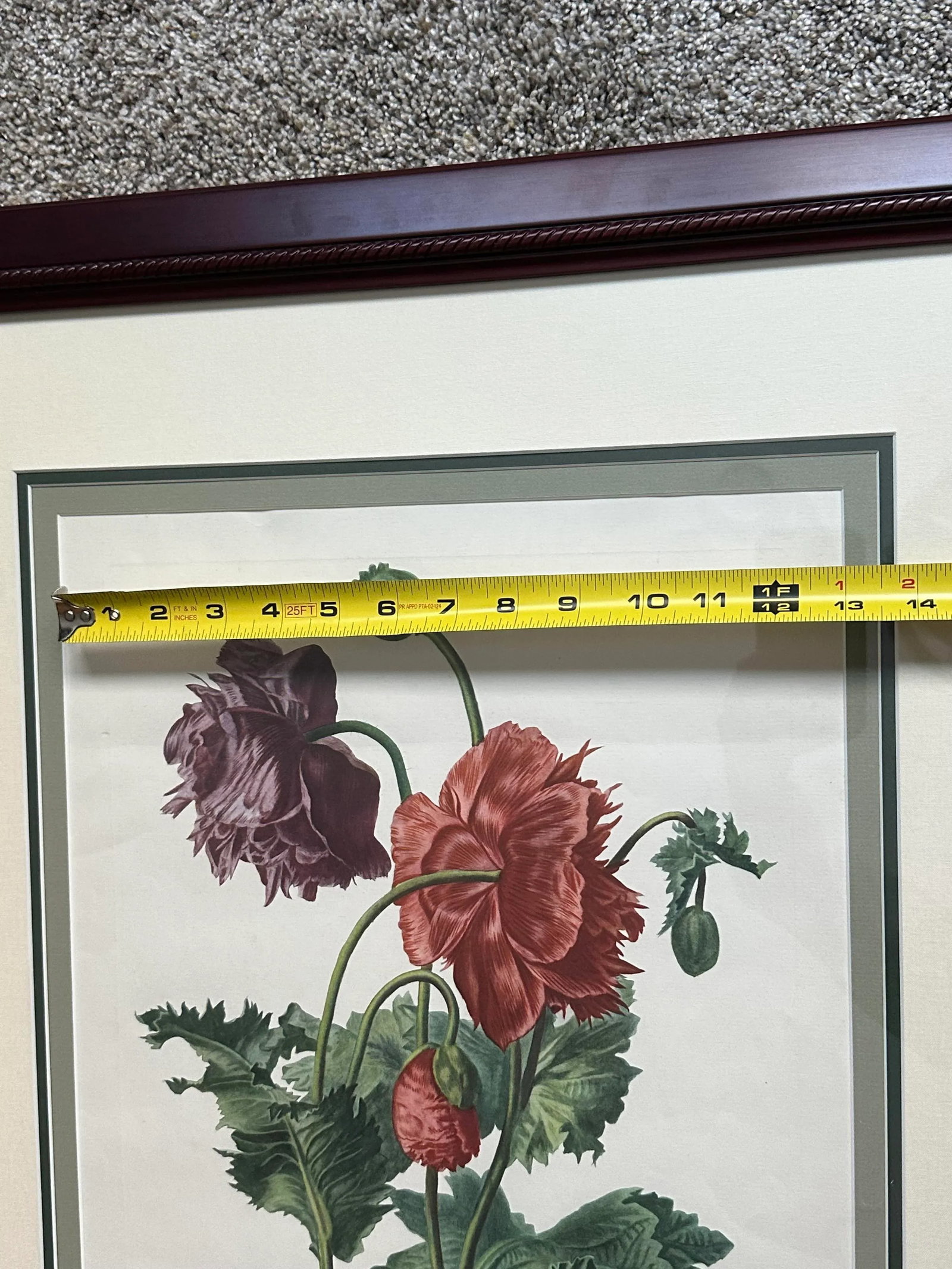 Antique Botanical of Poppy Flowers 19th C. Chromolithograph Poppy From Fleurs Dessinees d'Apres Natu - 7