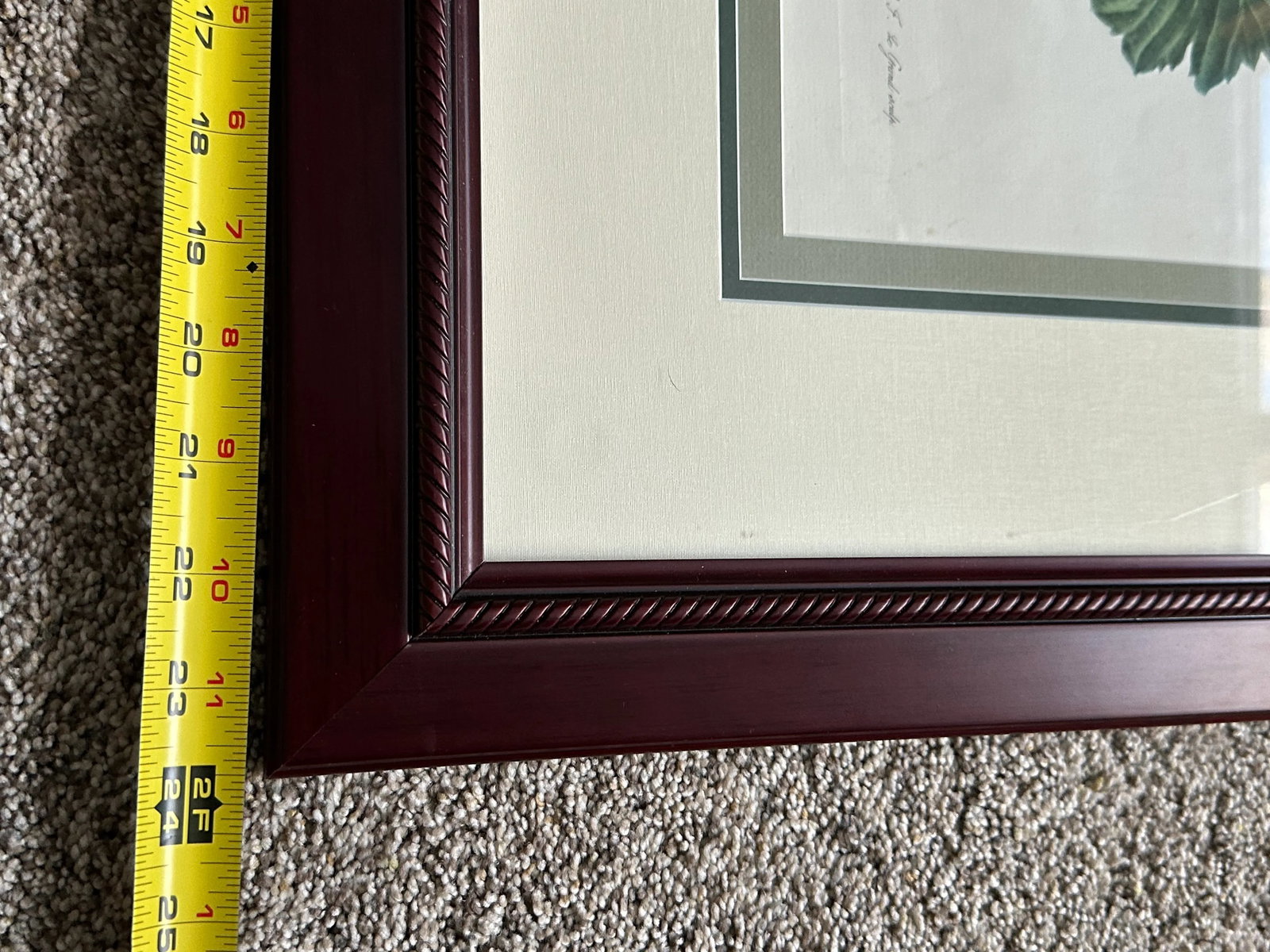 Antique Botanical of Poppy Flowers 19th C. Chromolithograph Poppy From Fleurs Dessinees d'Apres Natu - 9